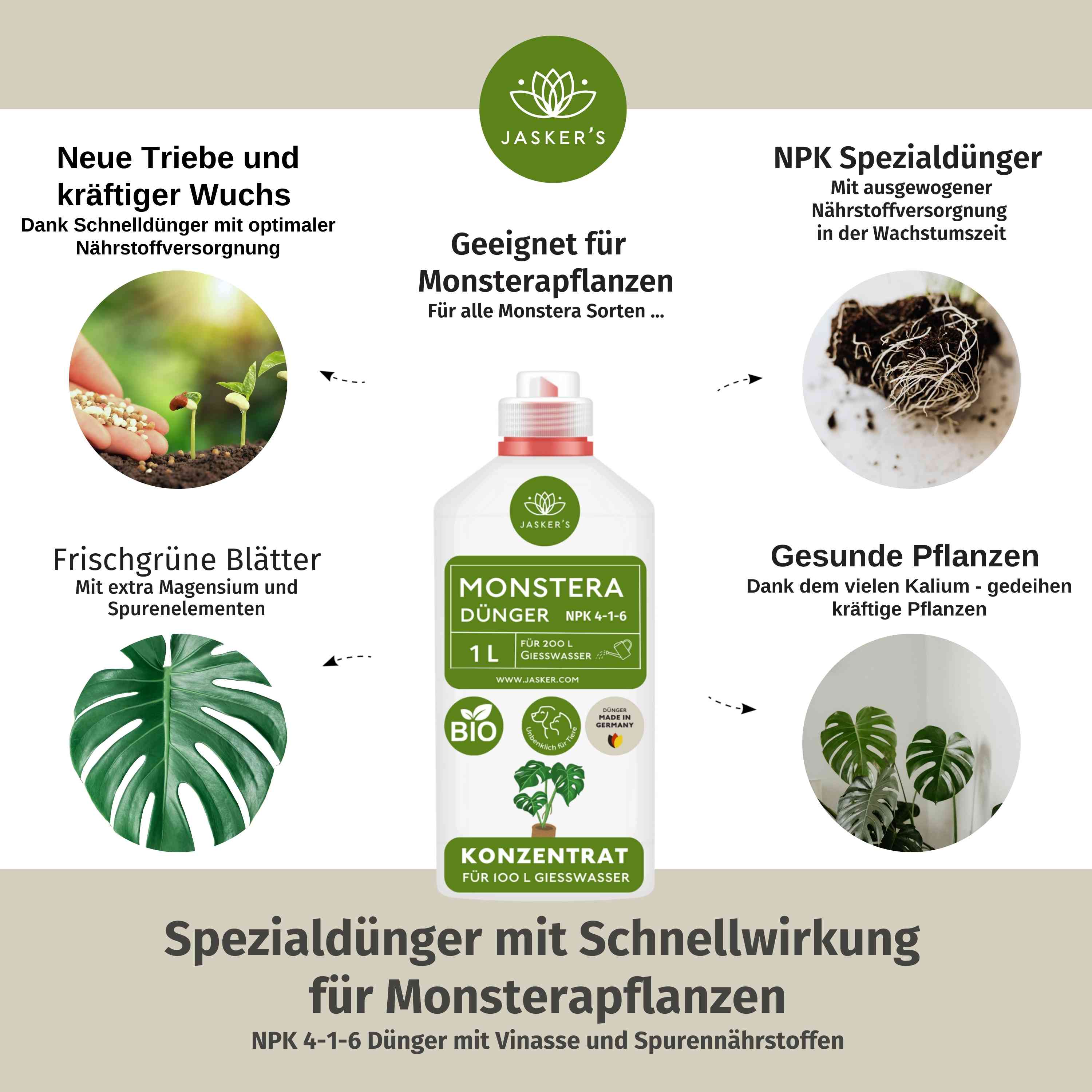 Monstera Dünger 3 Liter