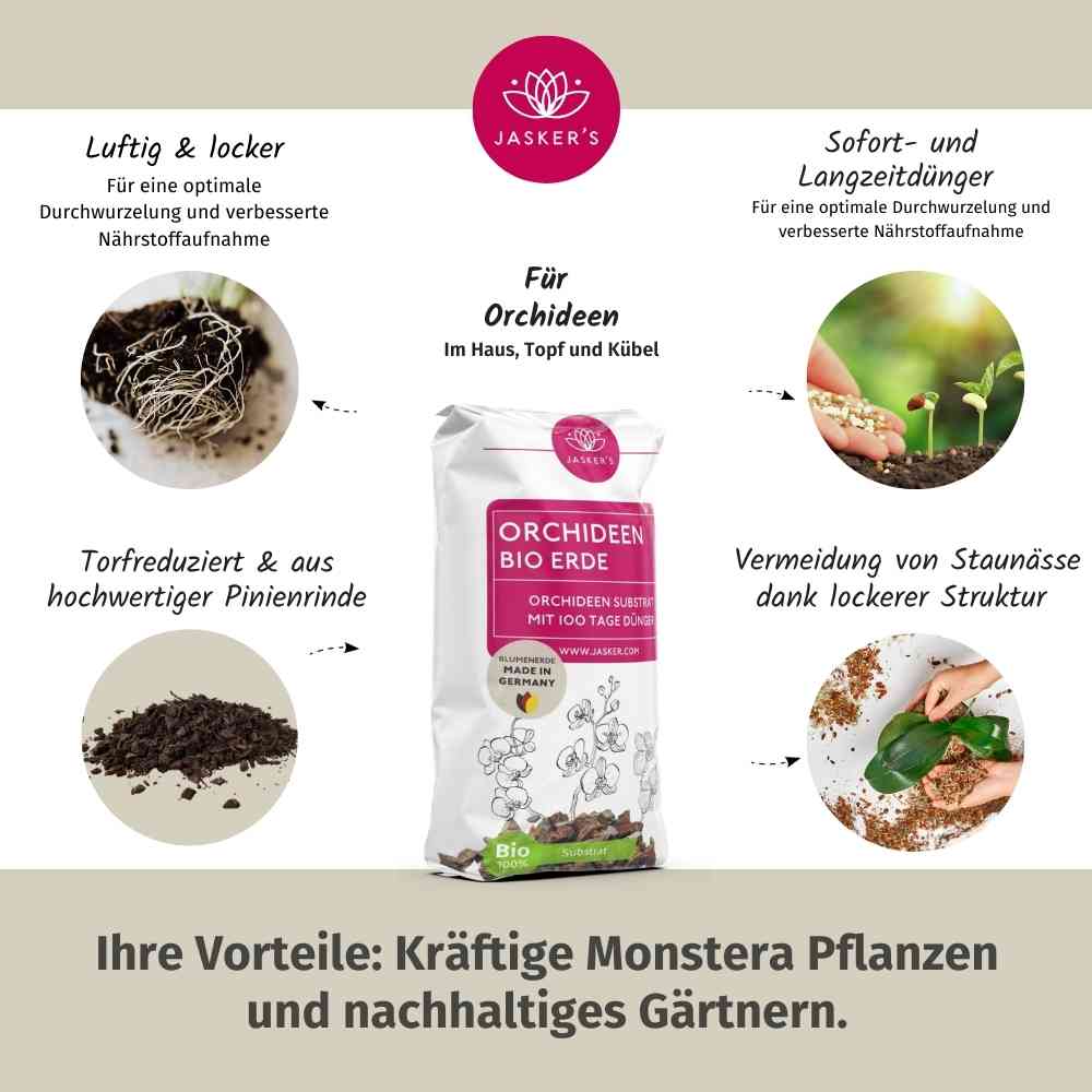 SPARSET: Orchideenerde + Flüssigdünger