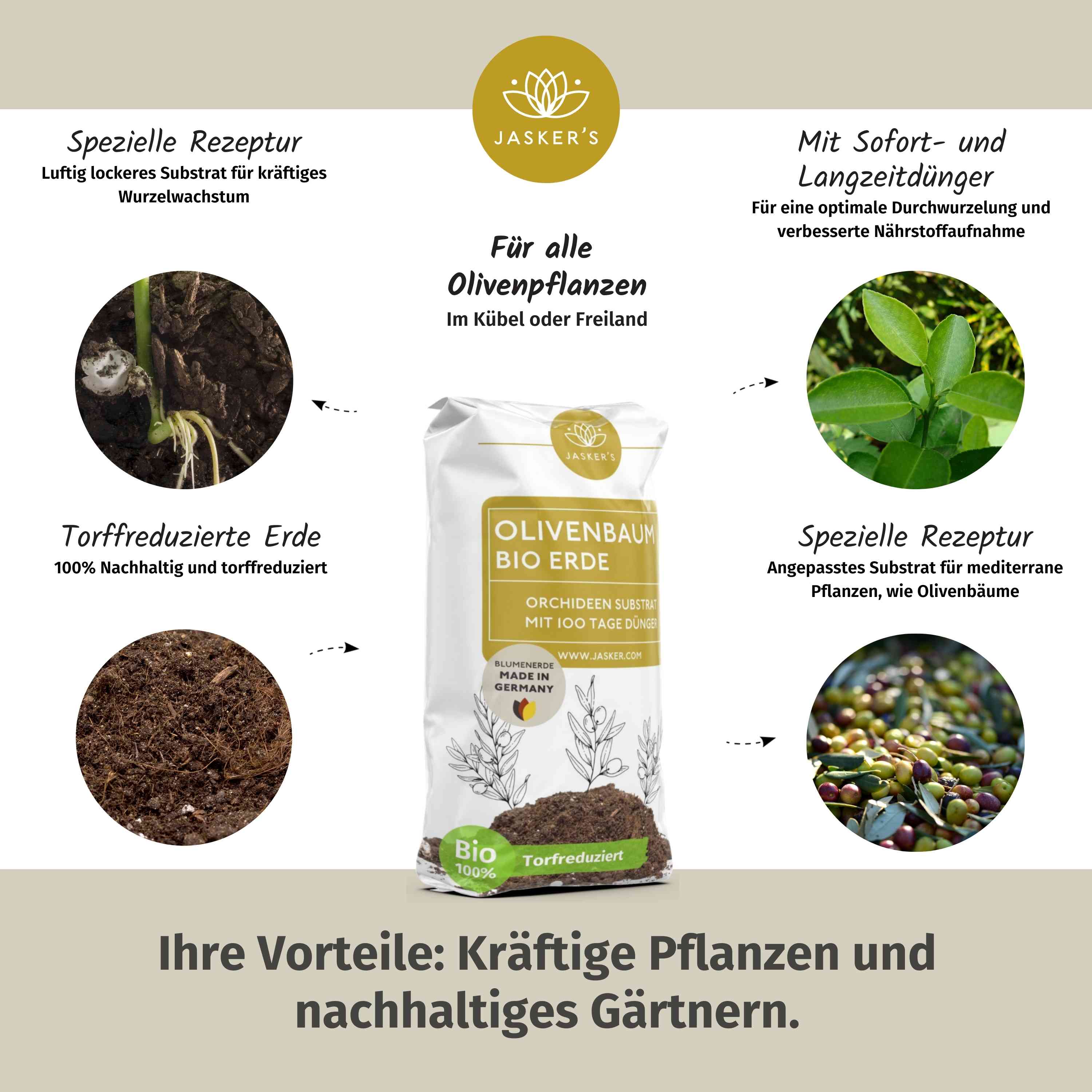 Olivenbaum Erde 80 L (4x20L)