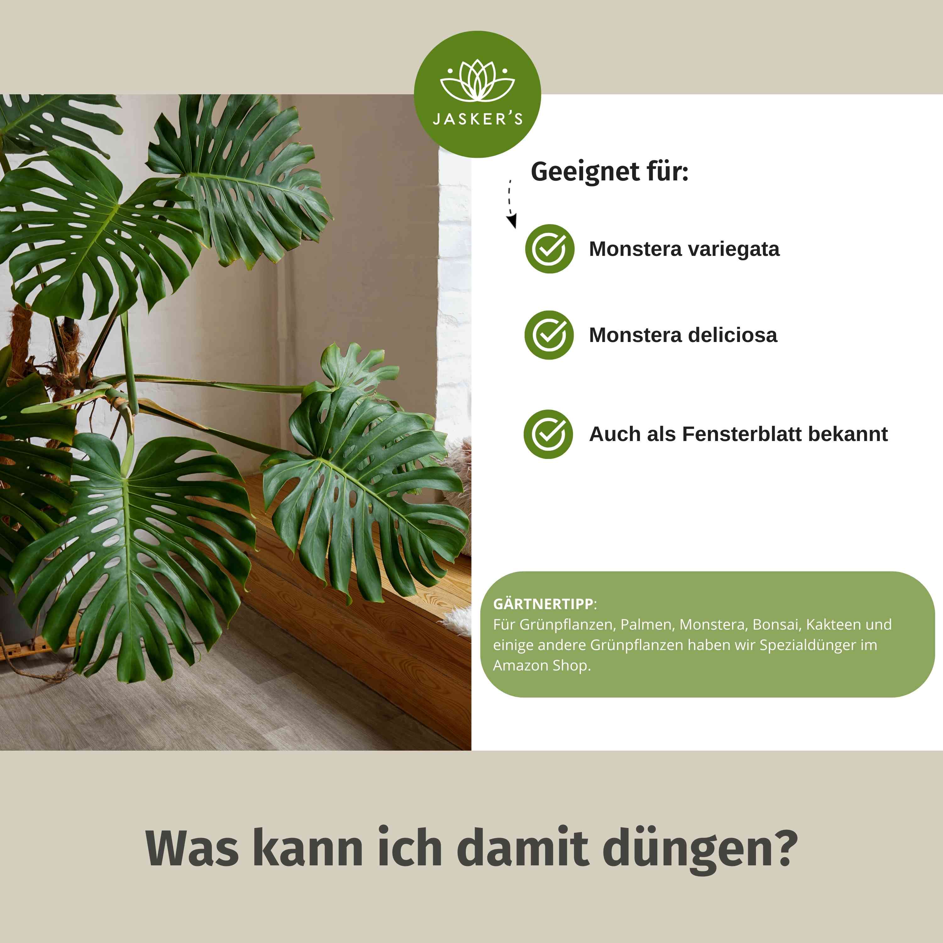 Monstera Dünger 500 ml