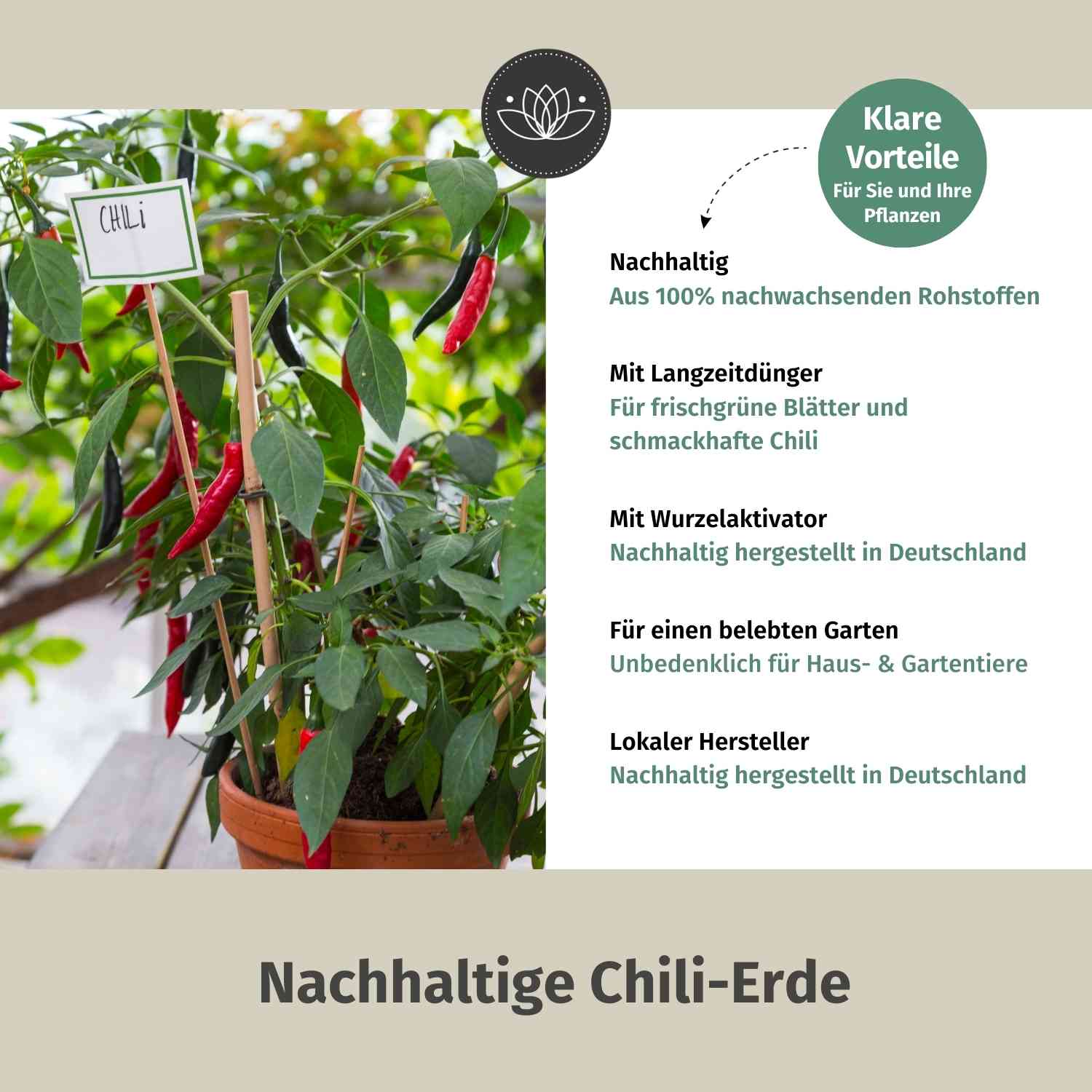 Chilierde Bio Erde für Chilis