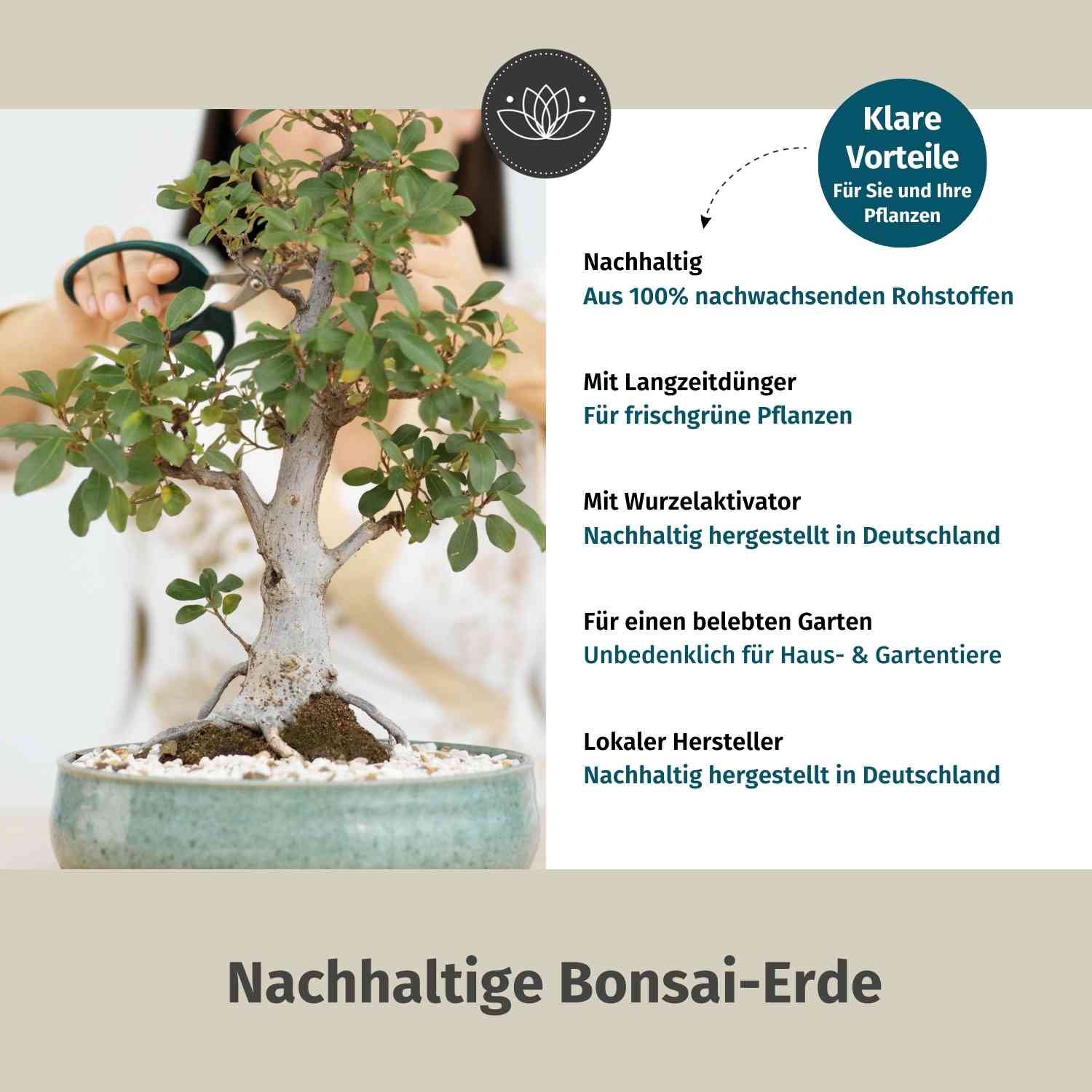 Bonsaierde
