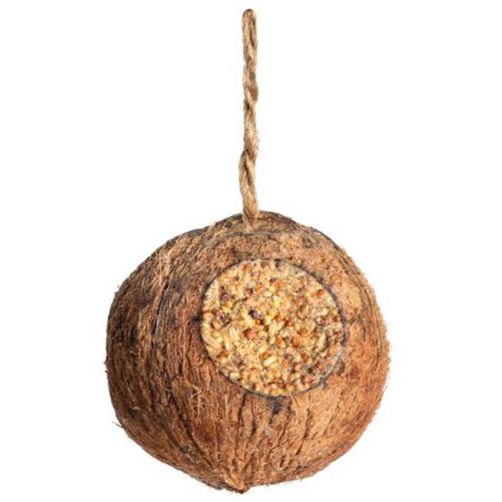 Erdtmann Kokosnuss Klassik (3 Löcher) im Polybeutel