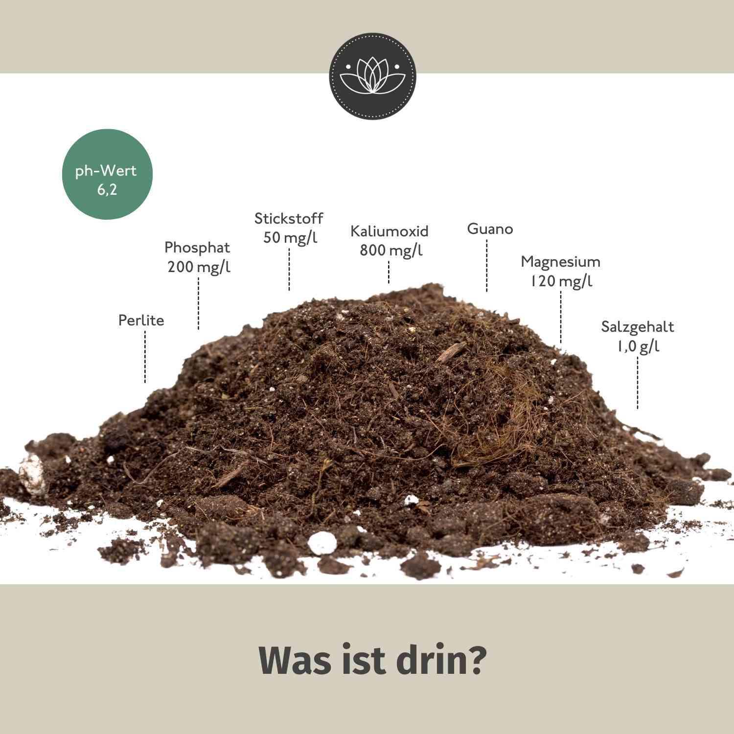 Chilierde Bio Erde für Chilis