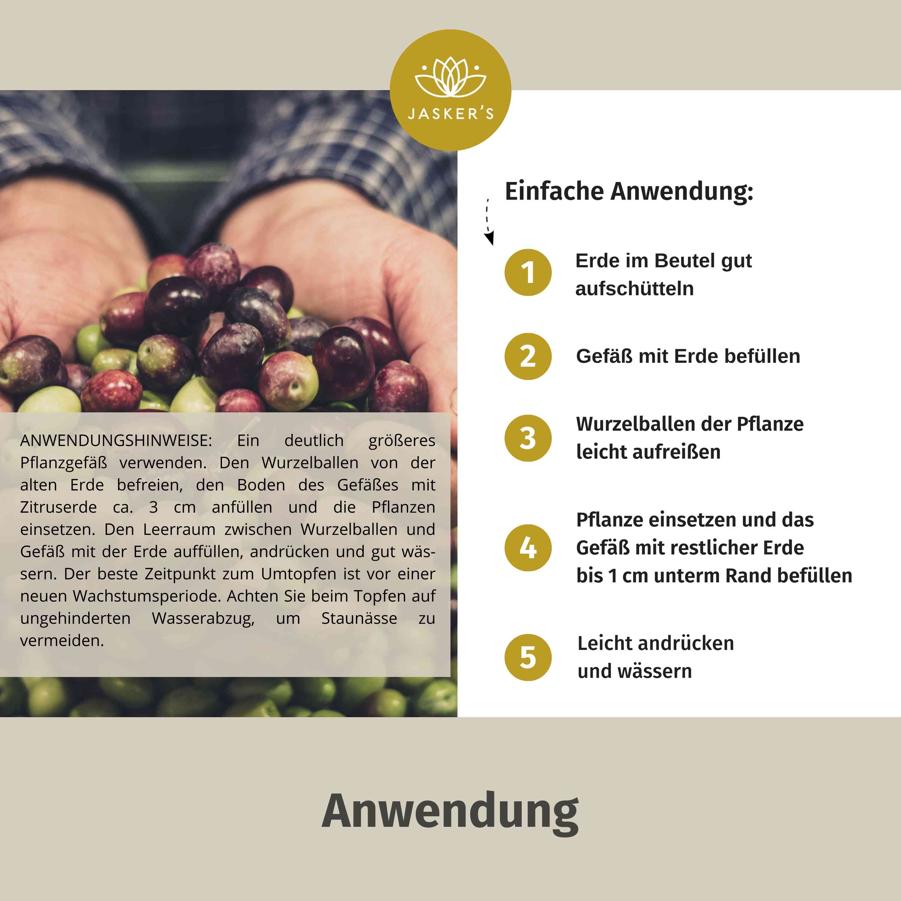 Olivenbaum Erde 80 L (4x20L)