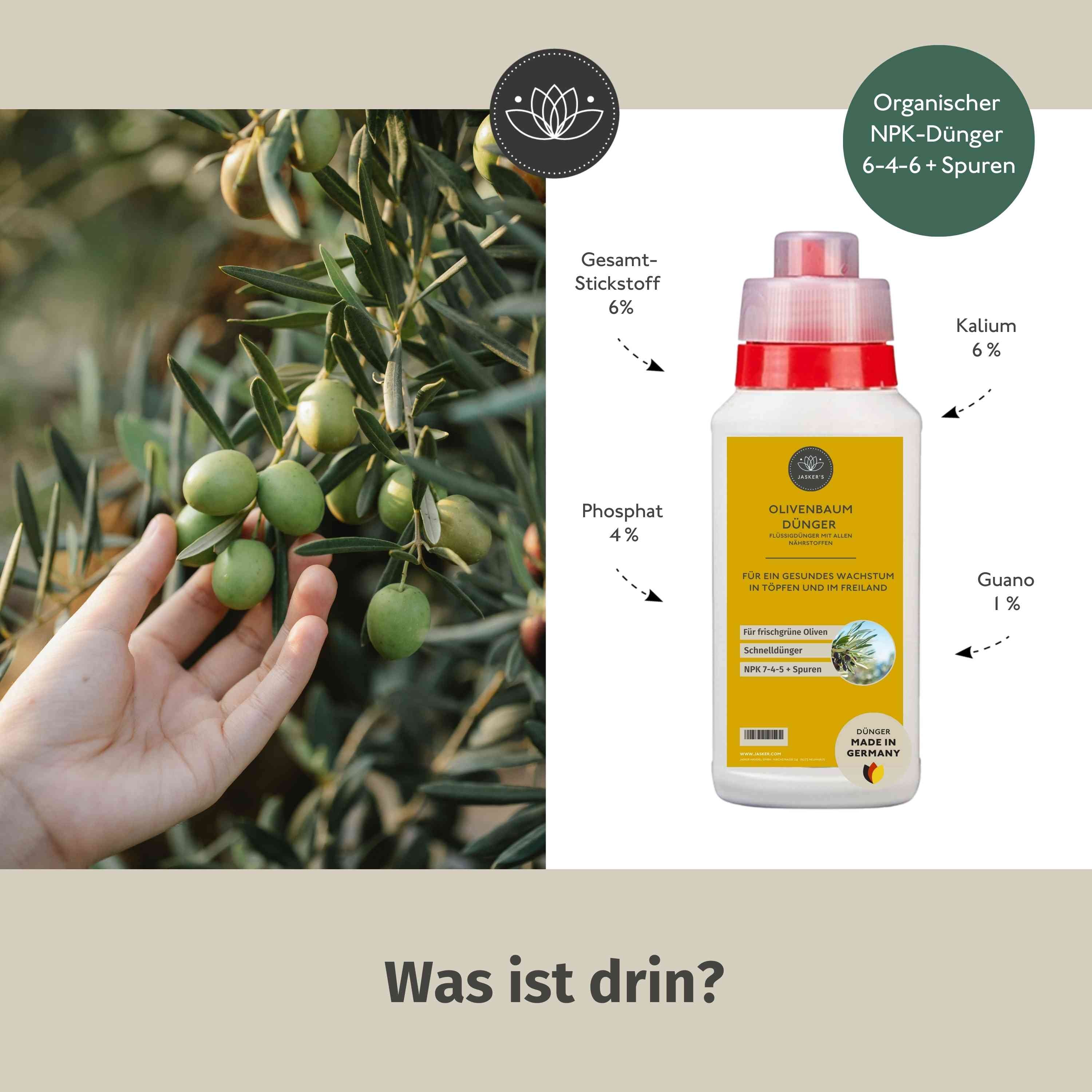 Olivenbaum Dünger flüssig 500 ml - Oliven Dünger - Dünger für Olivenbaum