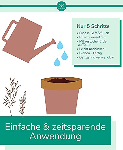 Bonsaierde 5 L + 250ml Bonsaidünger