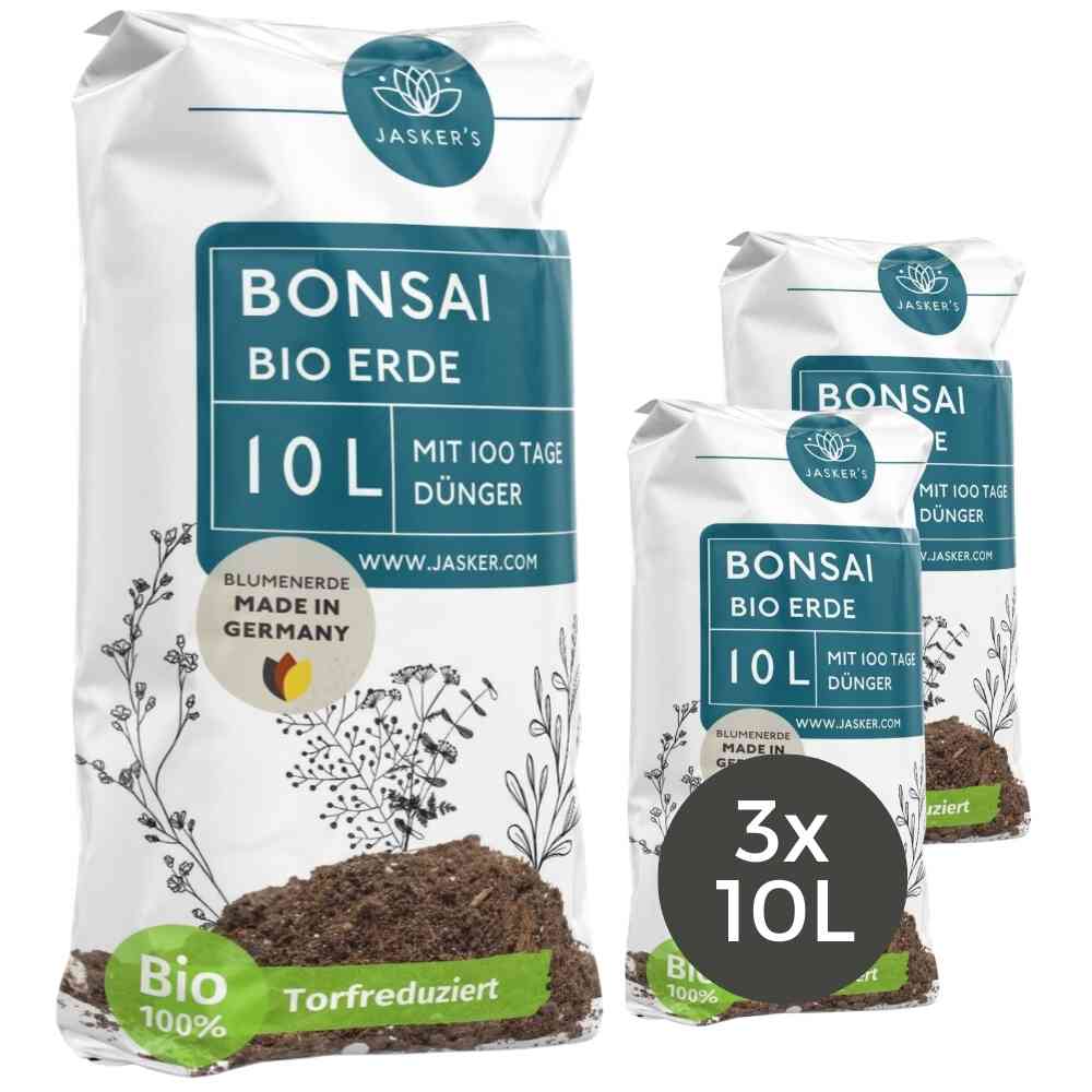 Bonsaierde