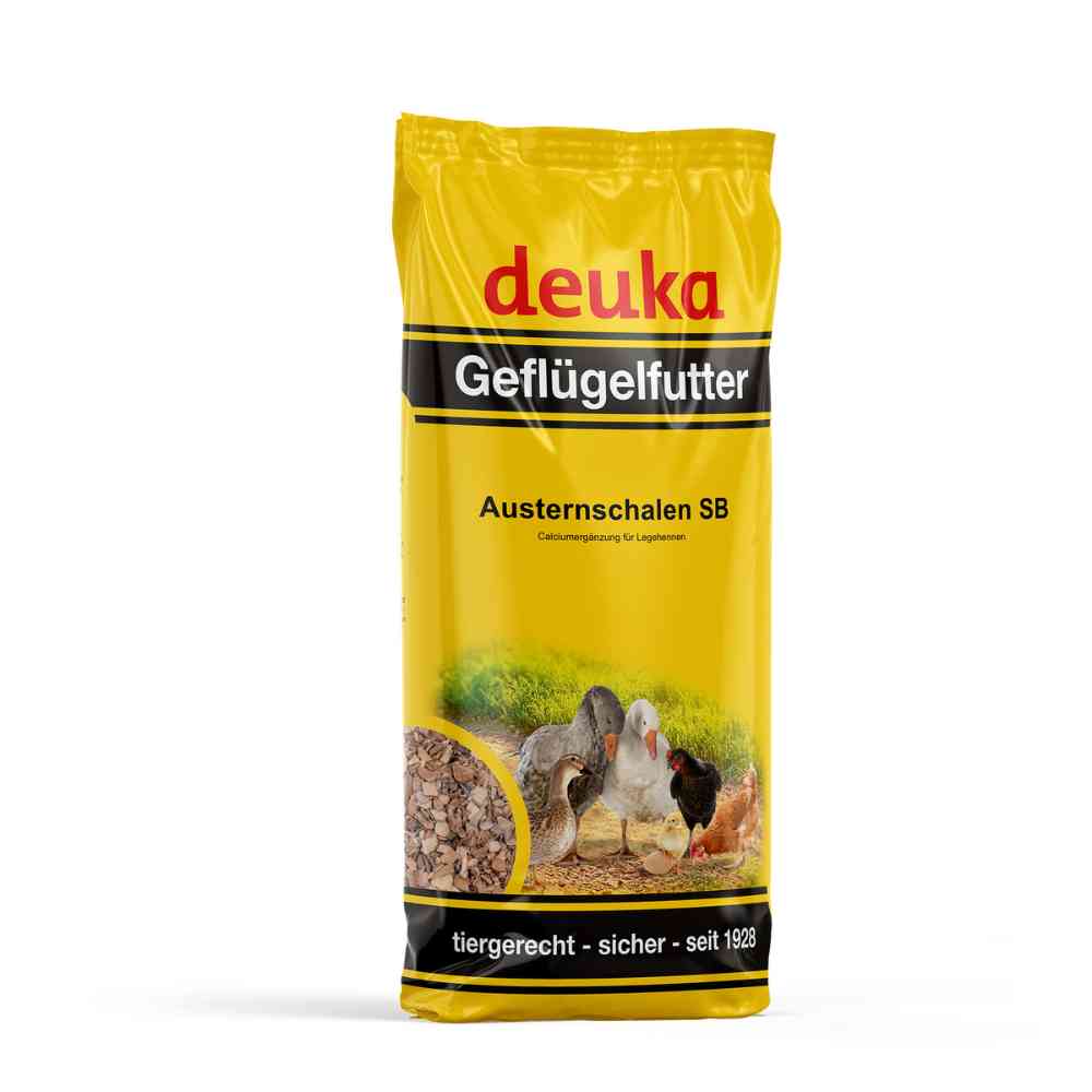 Austernschalen 5Kg