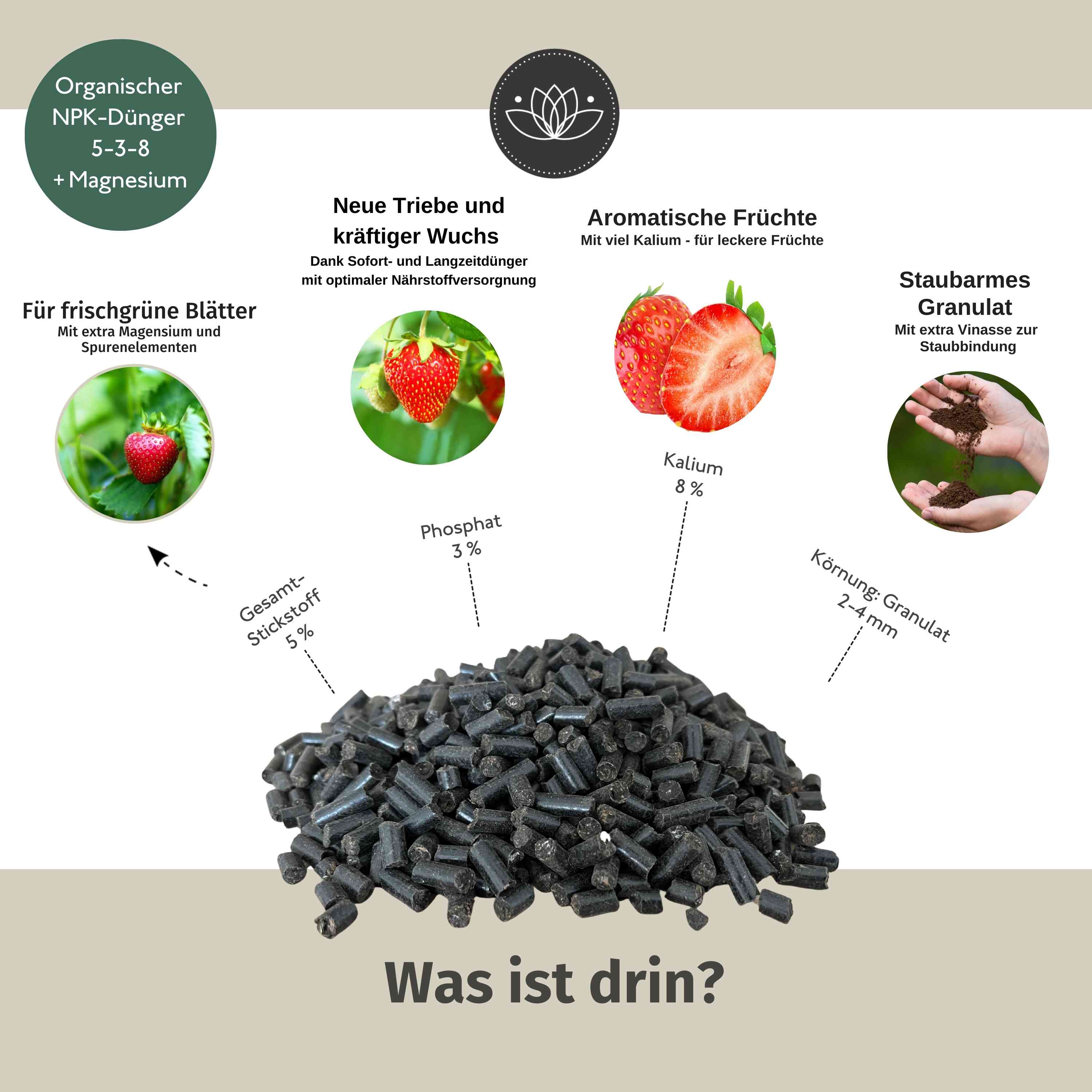 Erdbeerdünger | Optimaler Dünger Für Alle Erdbeer-Sorten