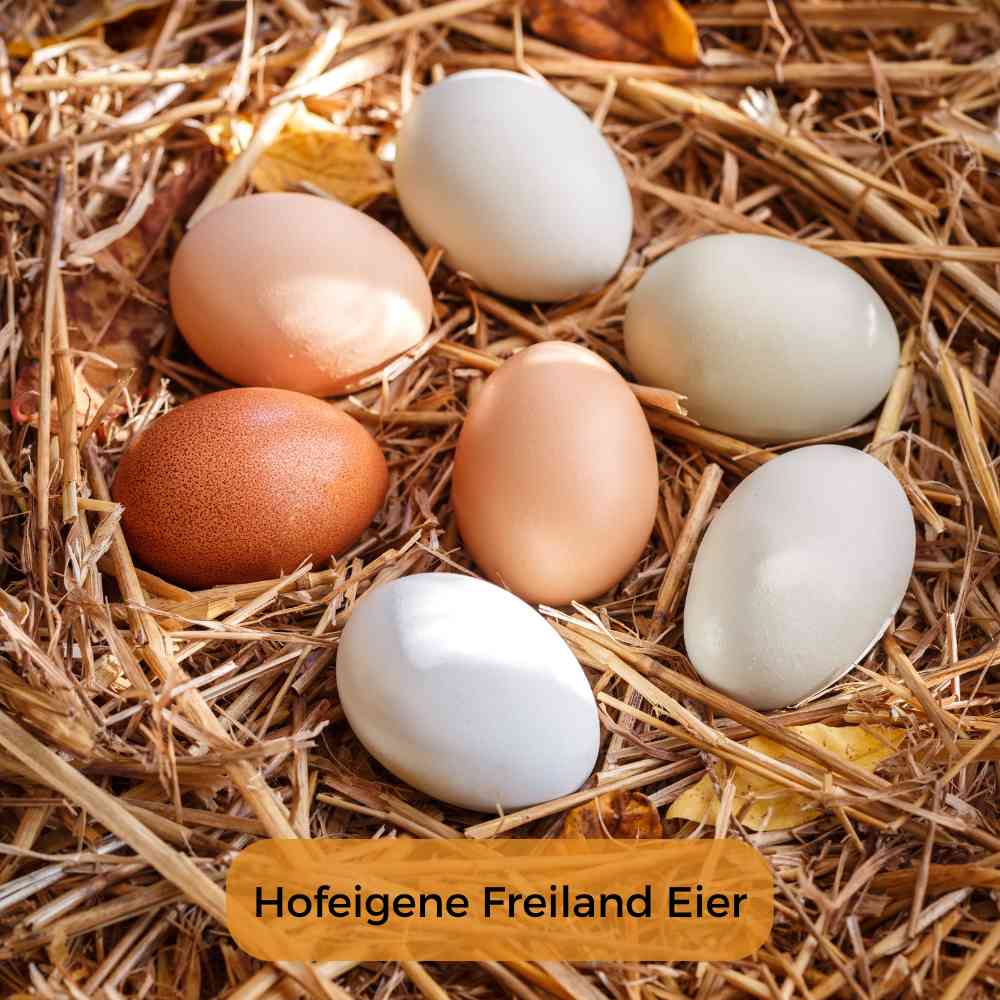 Eier - Freiland aus der Region