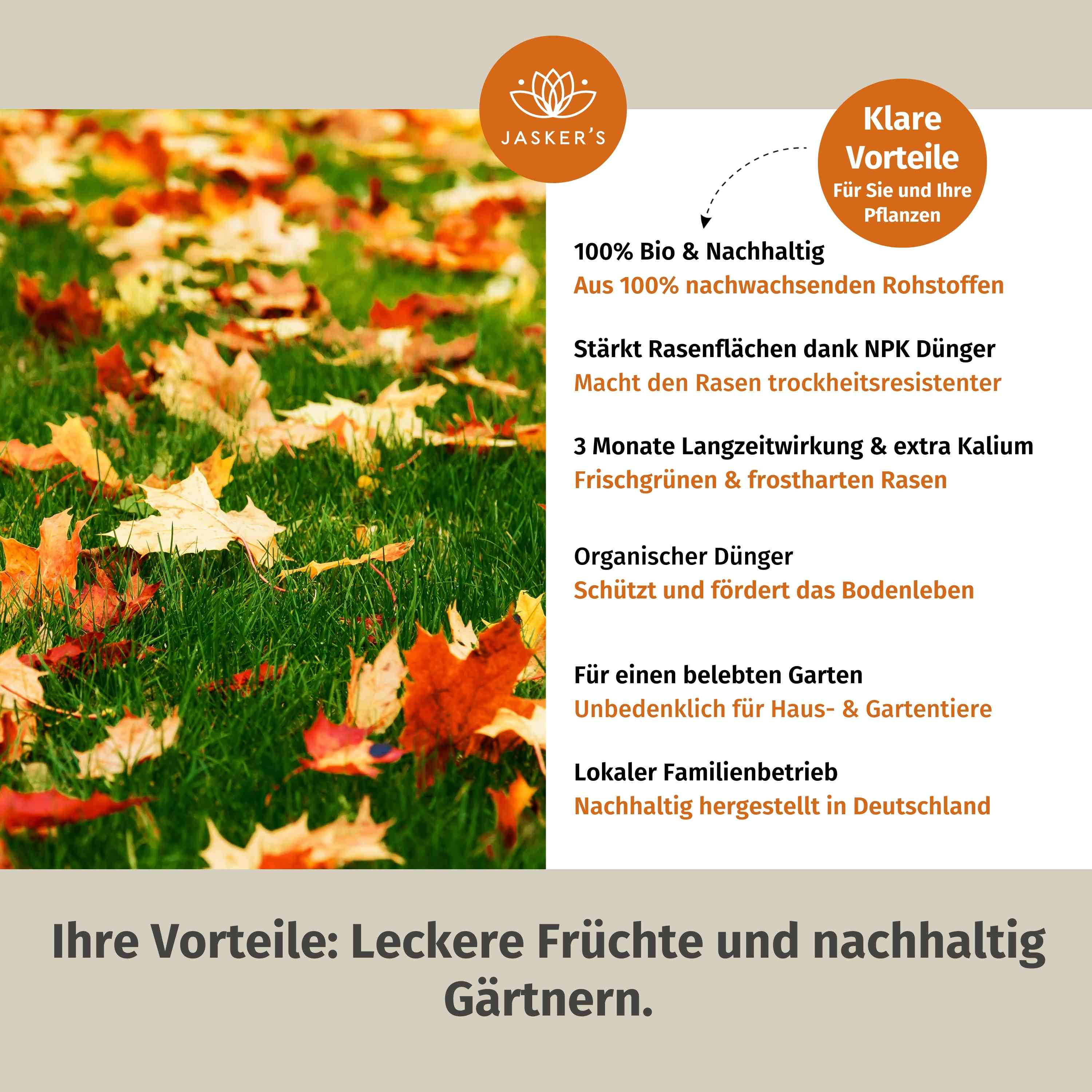 Bio Herbstrasendünger - Perfekte Stärkung
