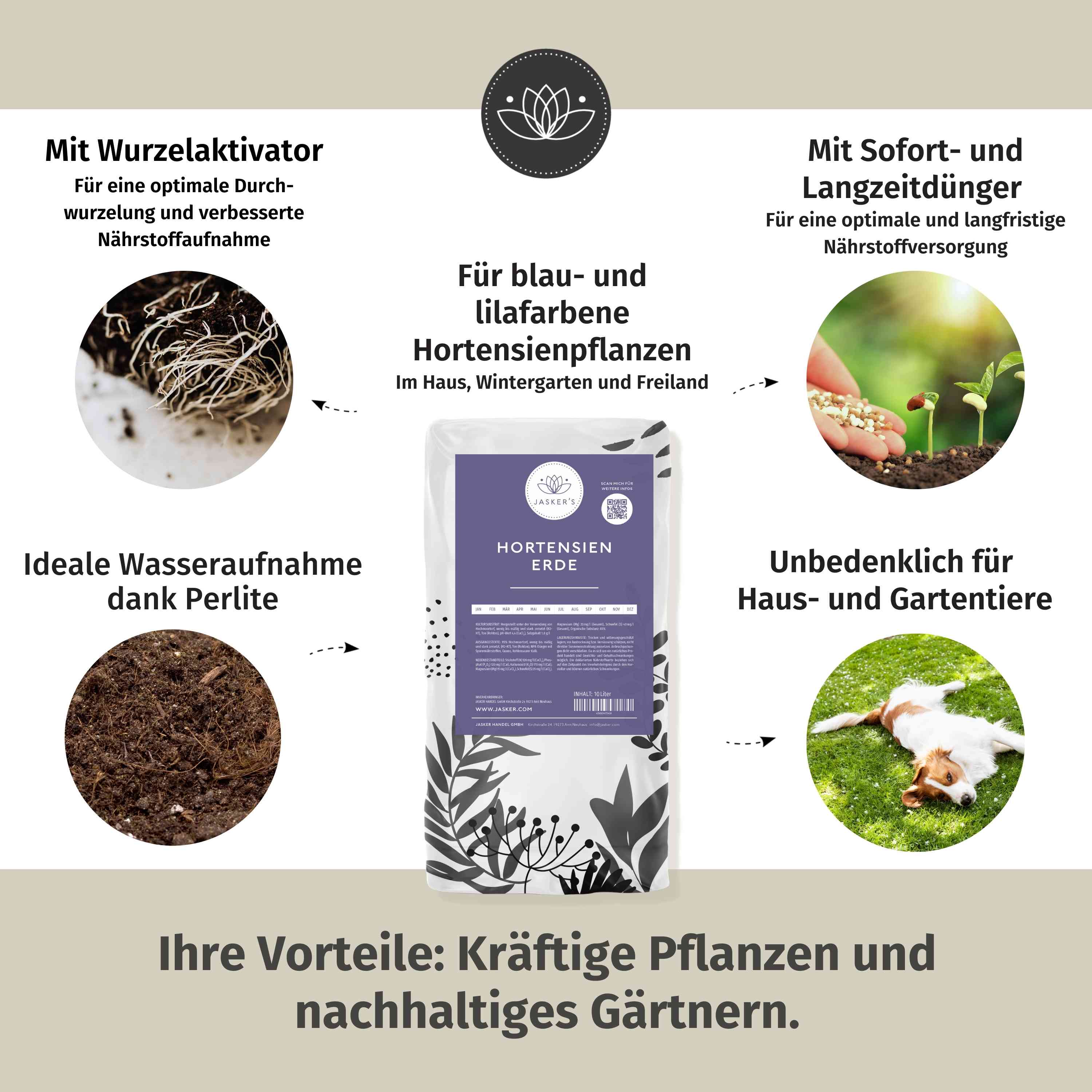 Hortensienerde für blaue und lilafarbene Hortensien