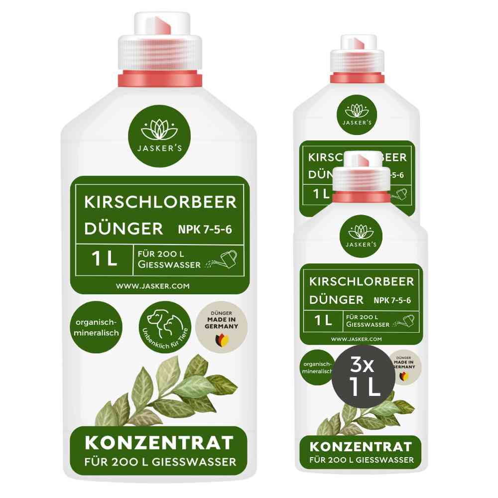 Kirschlorbeerdünger flüssig - Für alle Kirschlorbeer-Arten