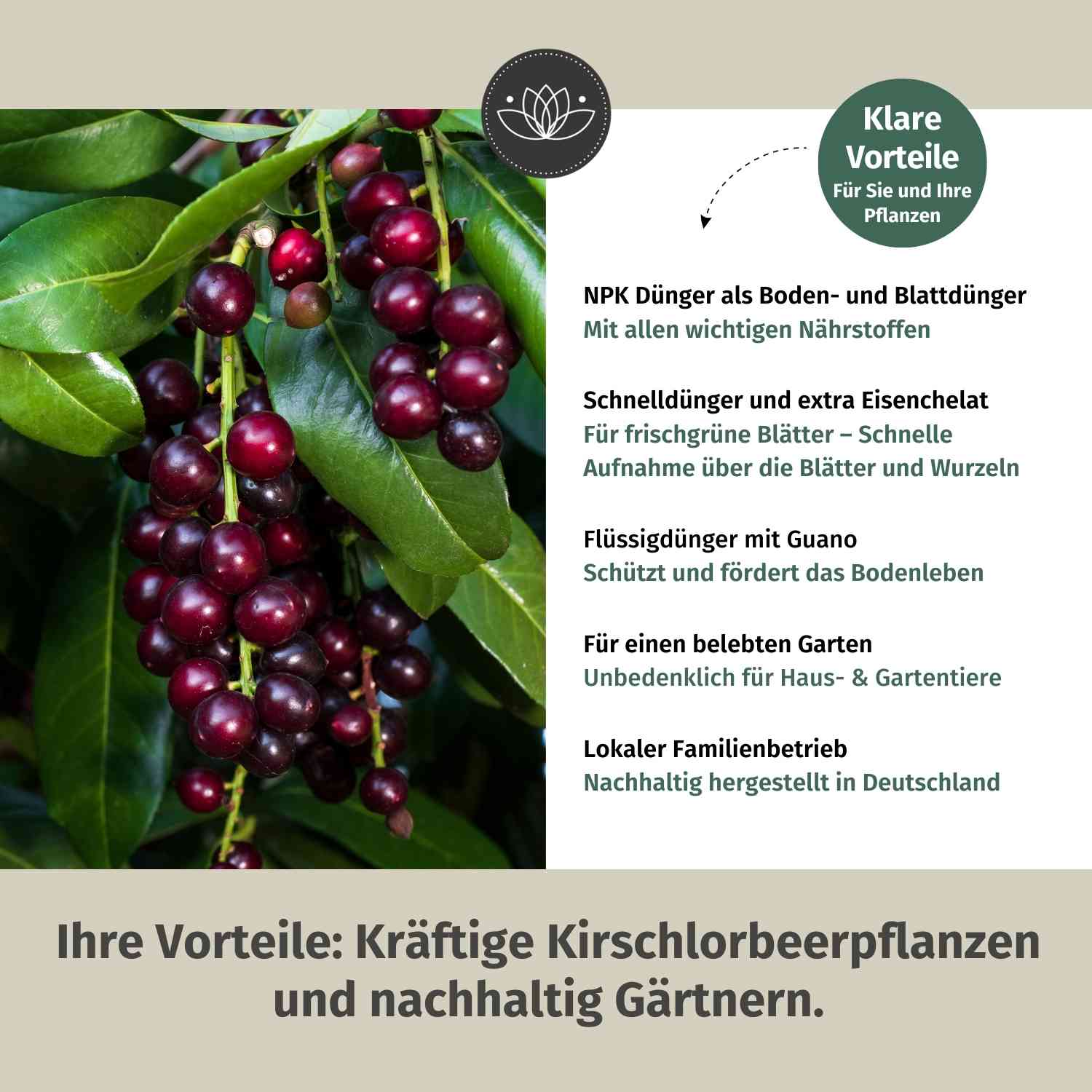 Kirschlorbeerdünger flüssig 2 Liter