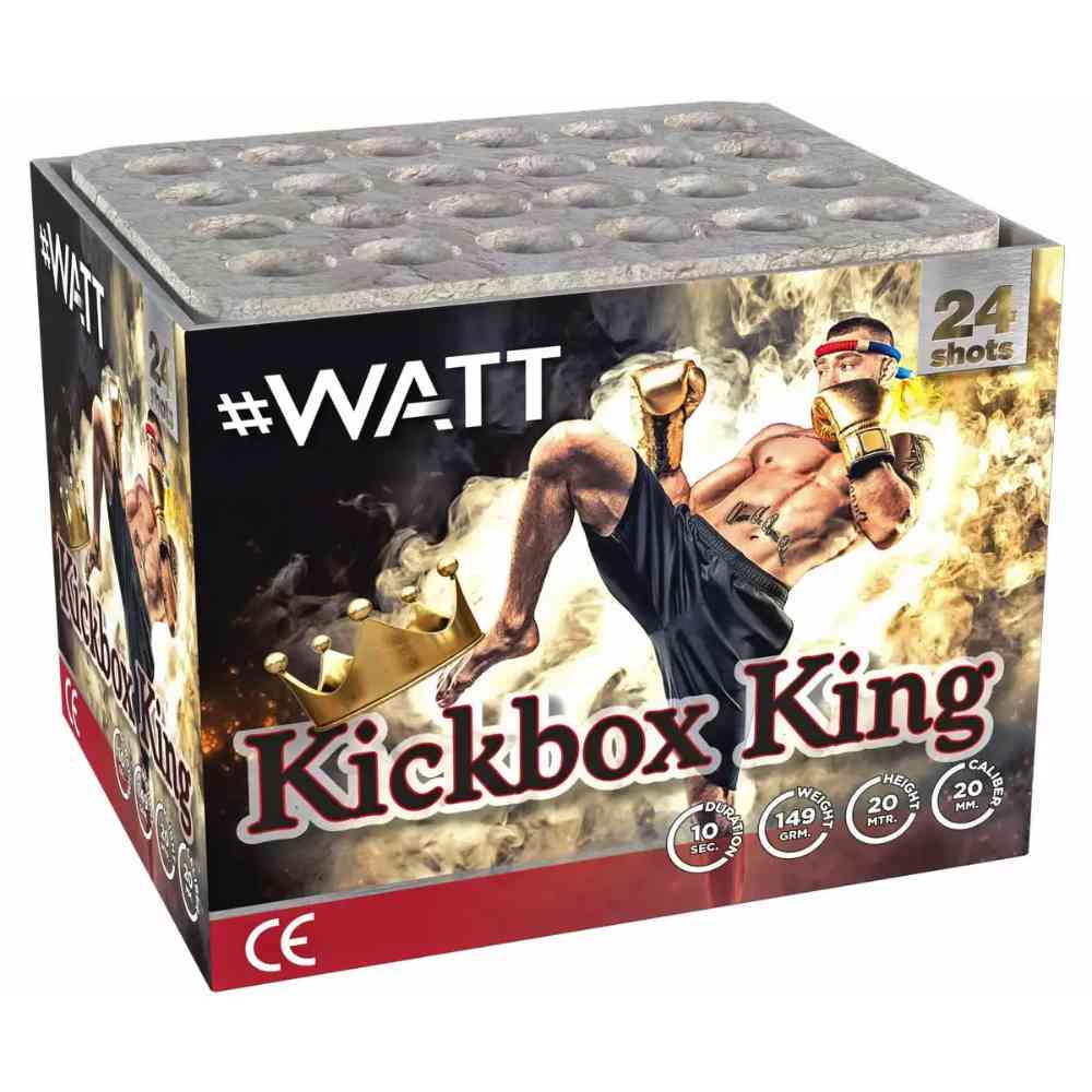 LESLI Batterie Kickbox King Kat. F2 24 Schuss