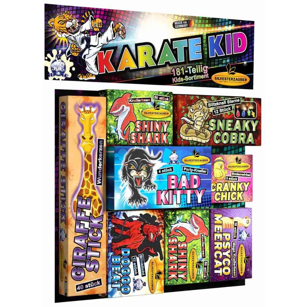 LESLI Karate Kid Kat. F1 181 Teile