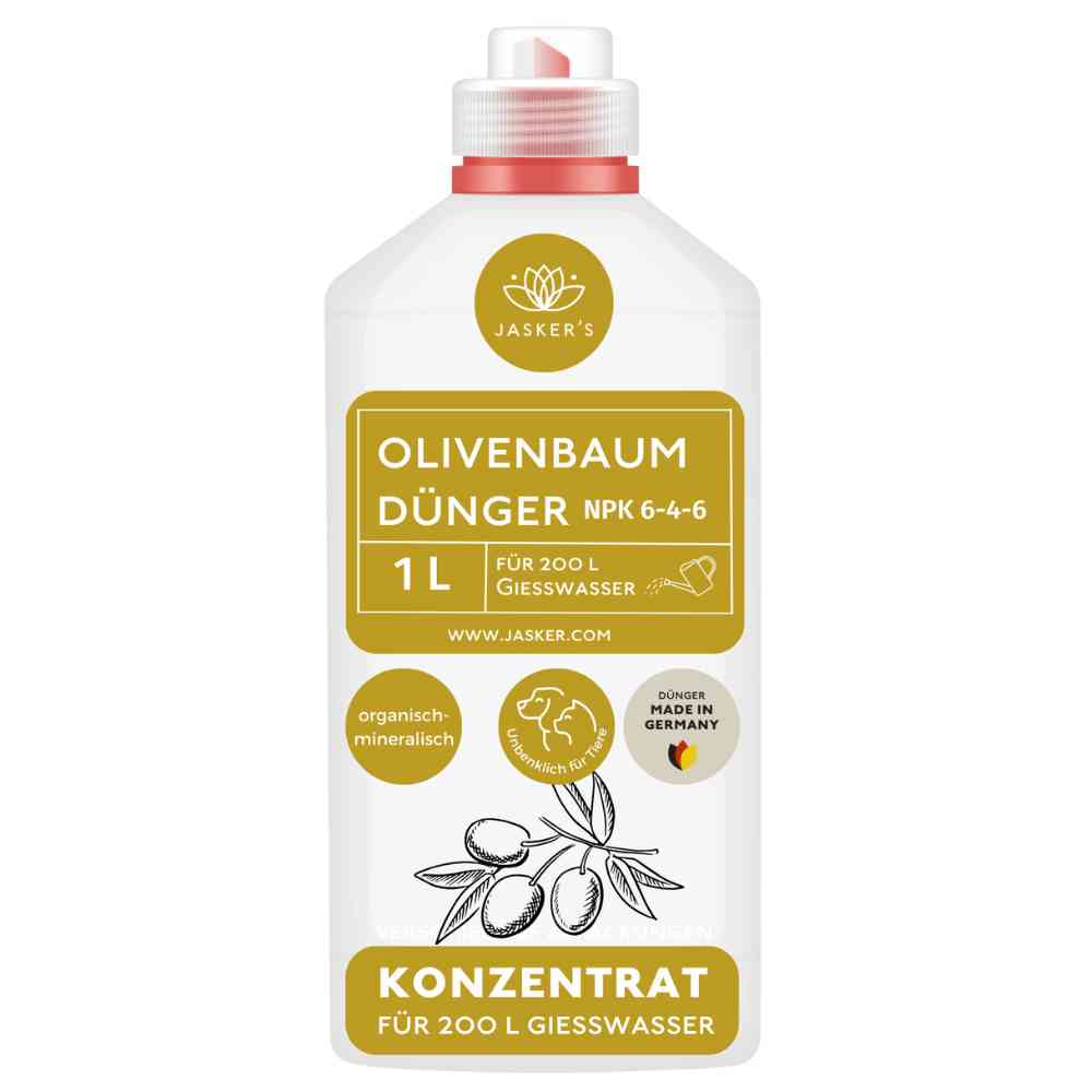 Olivenbaum Dünger flüssig 1 Liter - Oliven Dünger - Dünger für Olivenbaum
