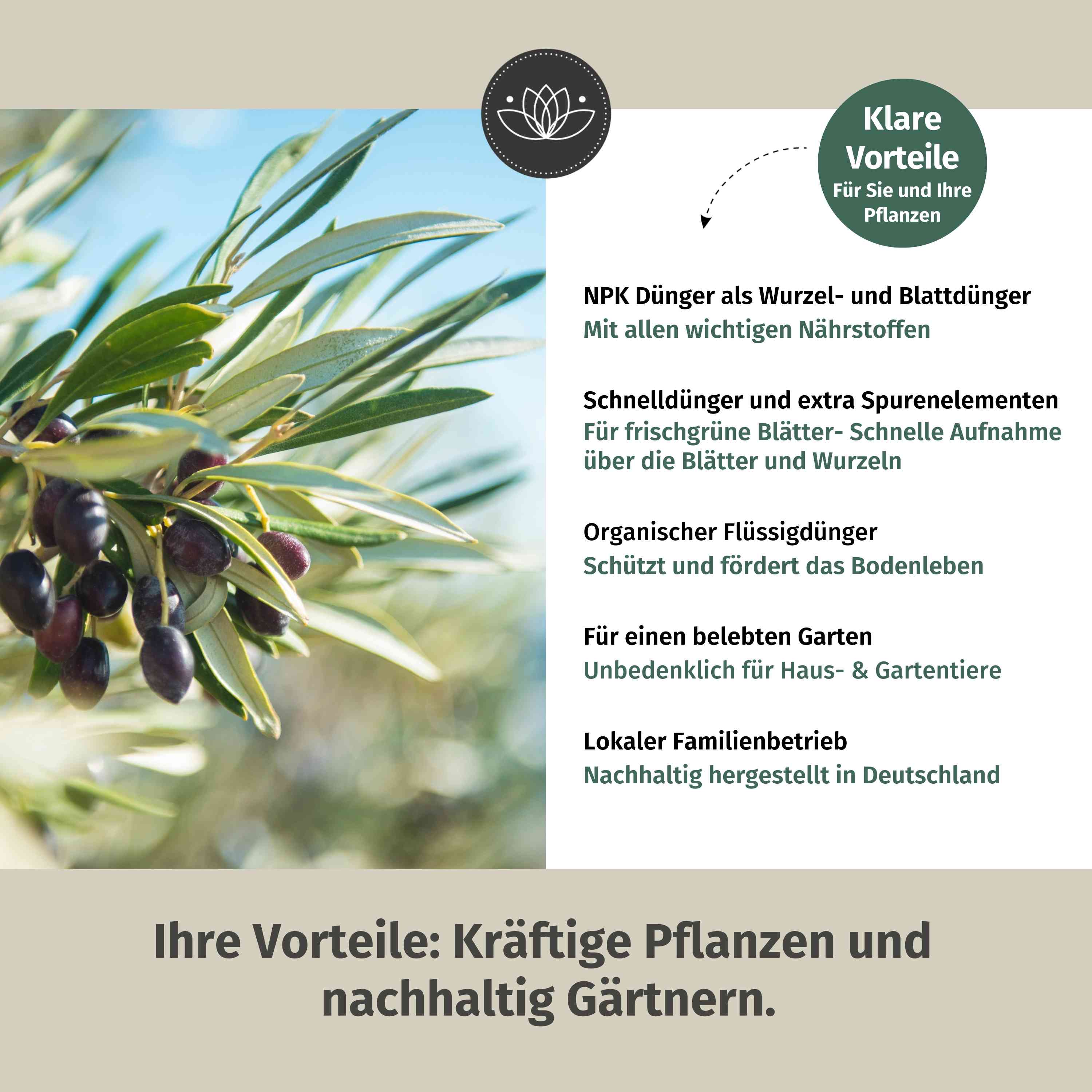 Olivenbaum Dünger flüssig 5 Liter - Oliven Dünger - Dünger für Olivenbaum