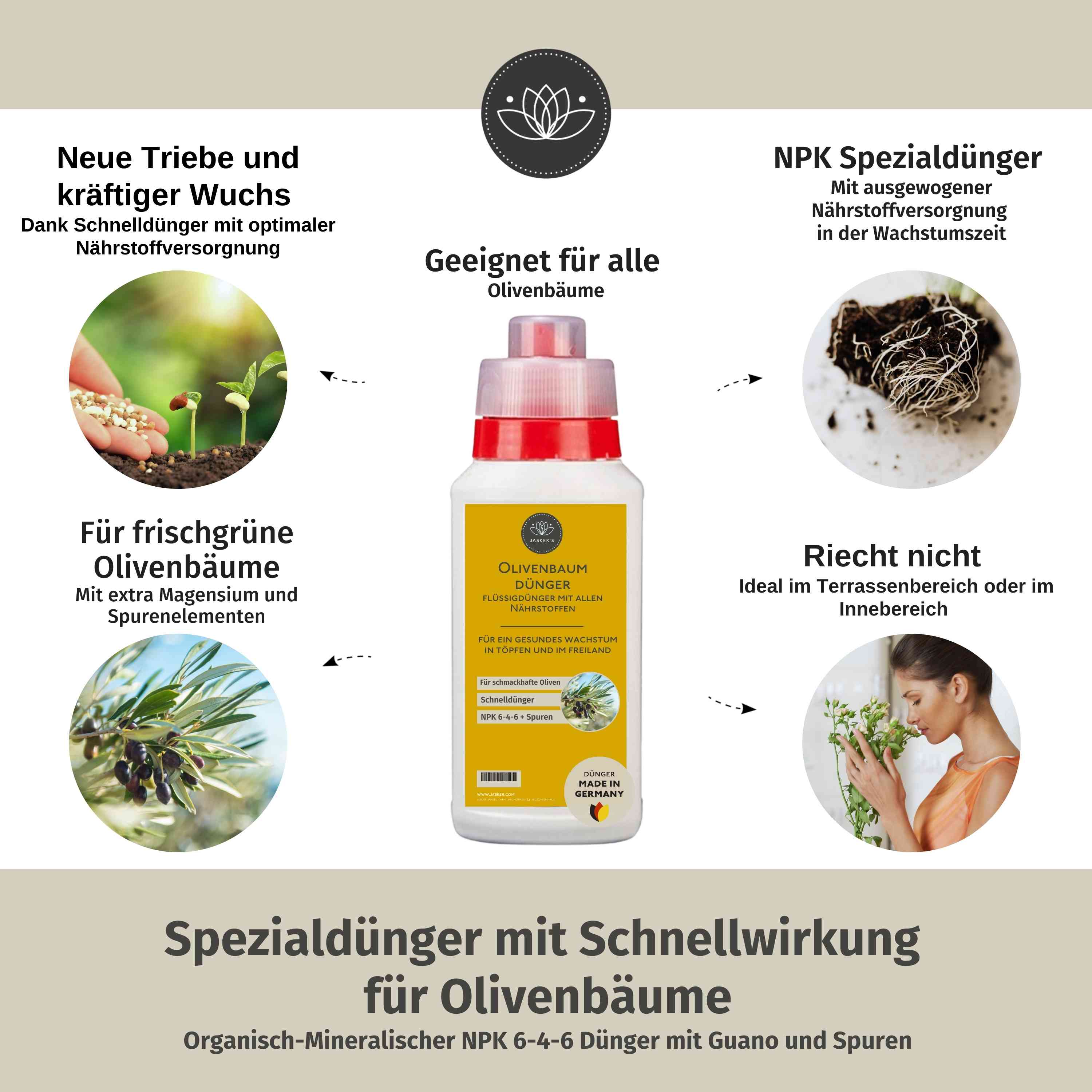 Olivenbaum Dünger flüssig 3 Liter - Oliven Dünger - Dünger für Olivenbaum