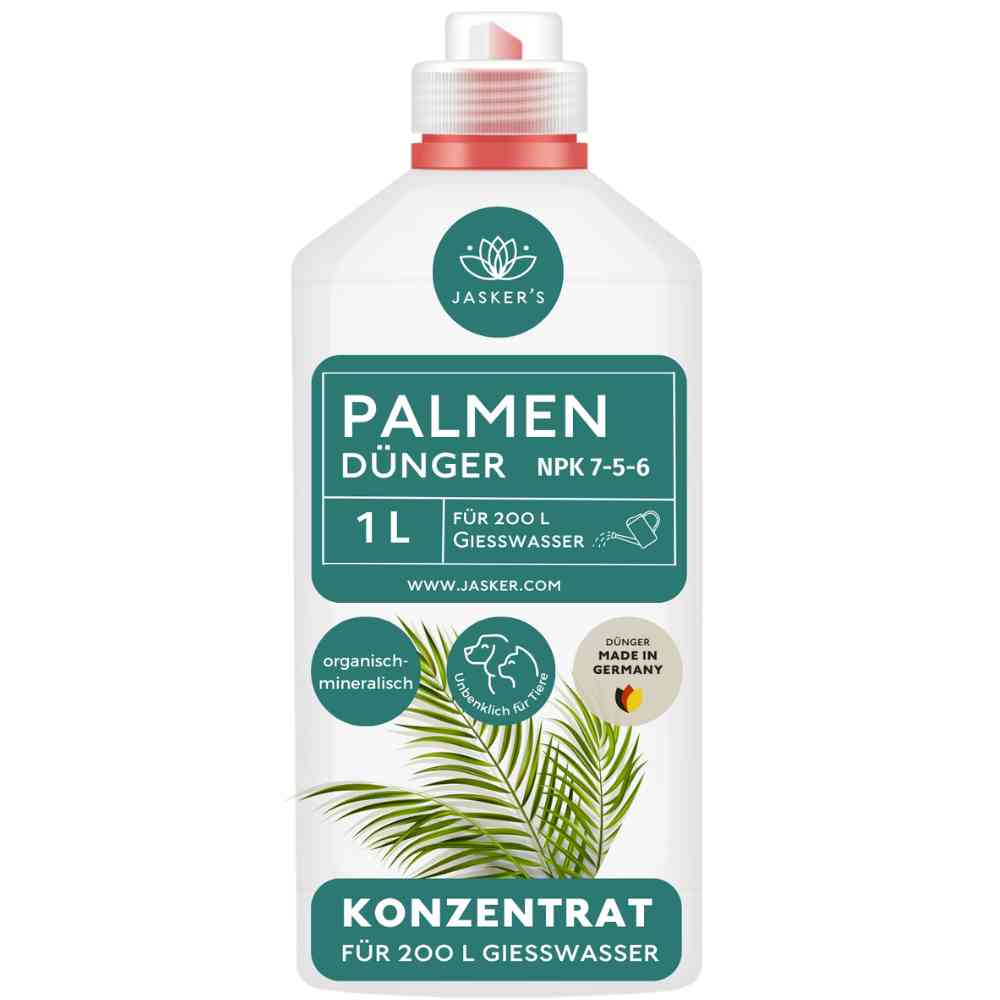 Palmendünger flüssig - Für alle Palmen-Arten