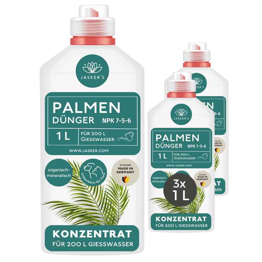 Palmendünger flüssig - Für alle Palmen-Arten