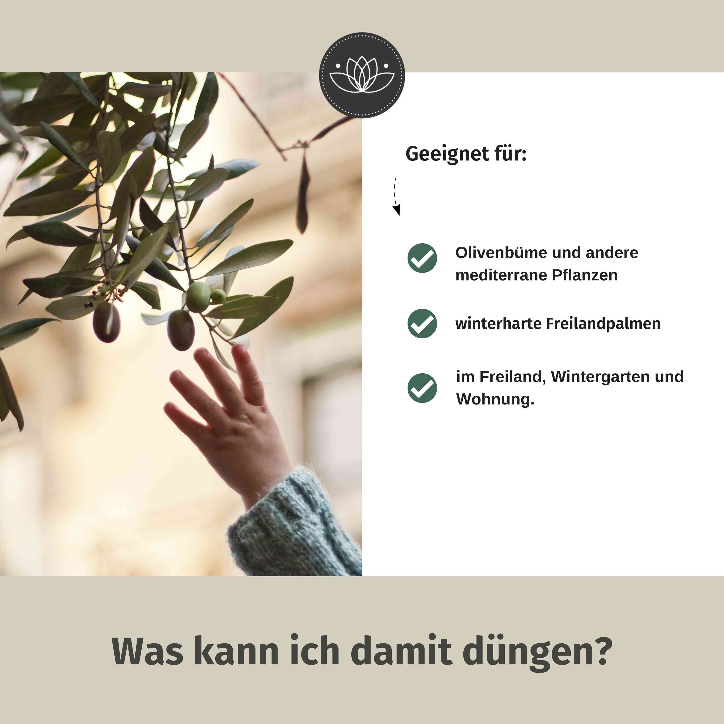 Olivenbaum Dünger flüssig 2 Liter - Oliven Dünger - Dünger für Olivenbaum