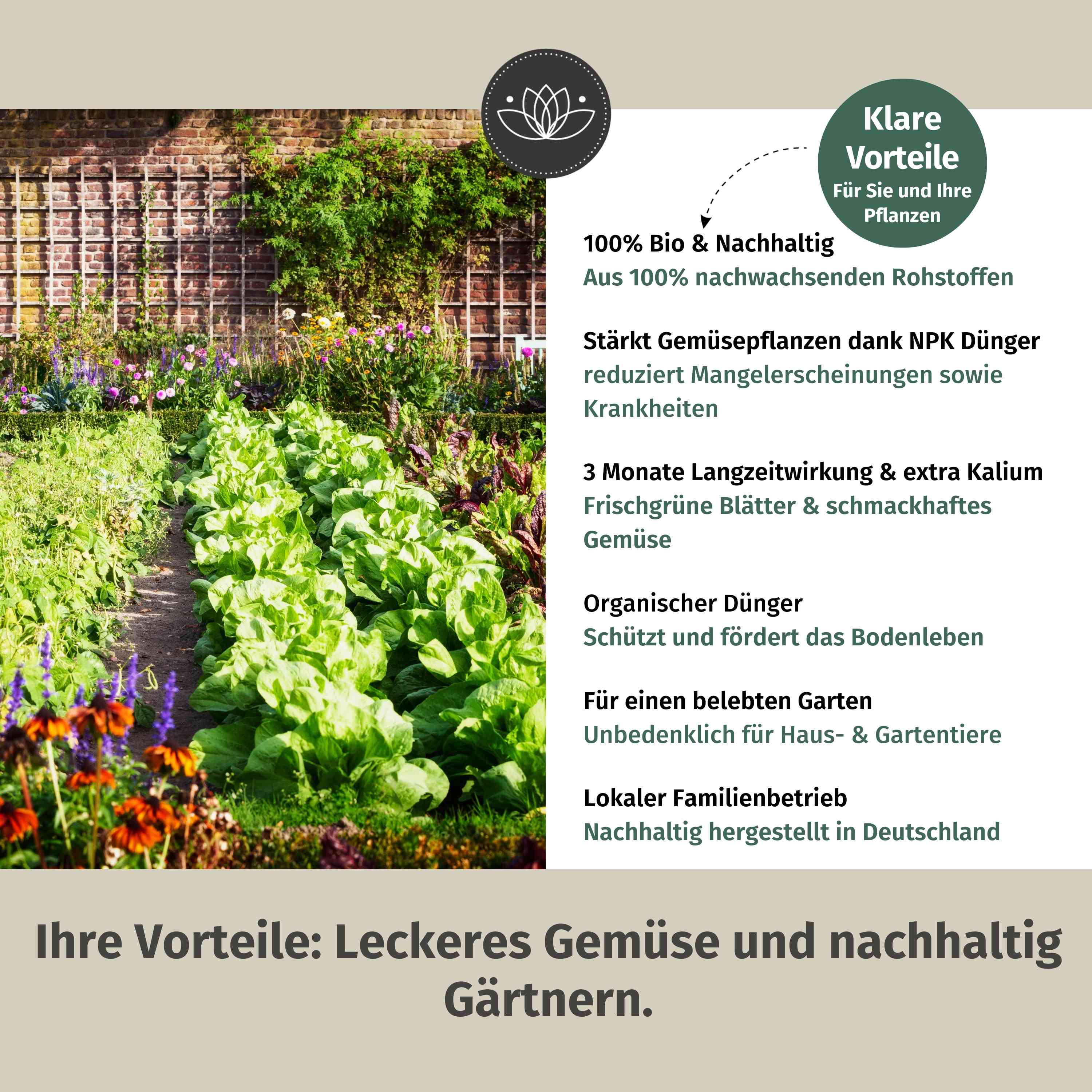 Gemüsedünger Bio Langzeit