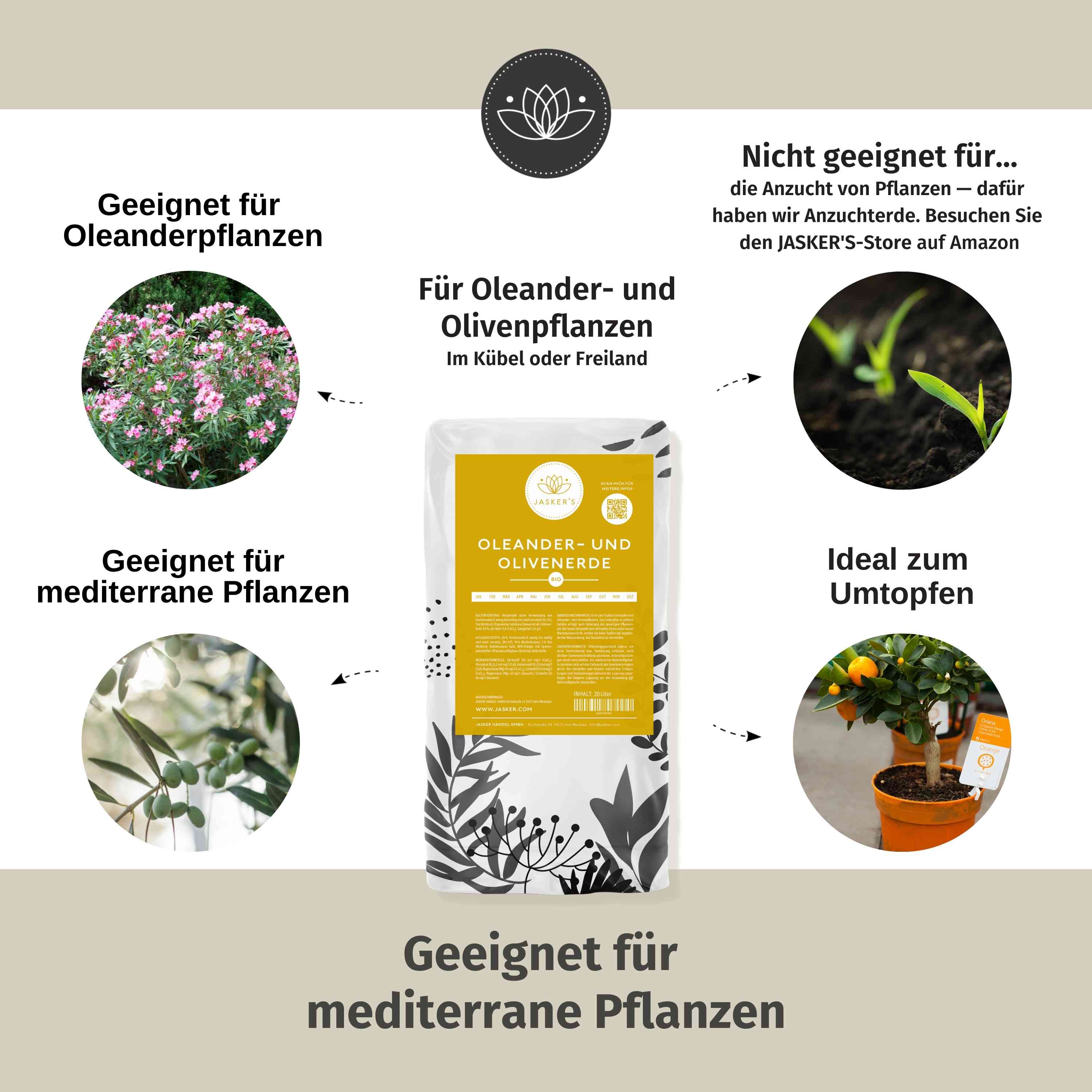 Oleander Erde
