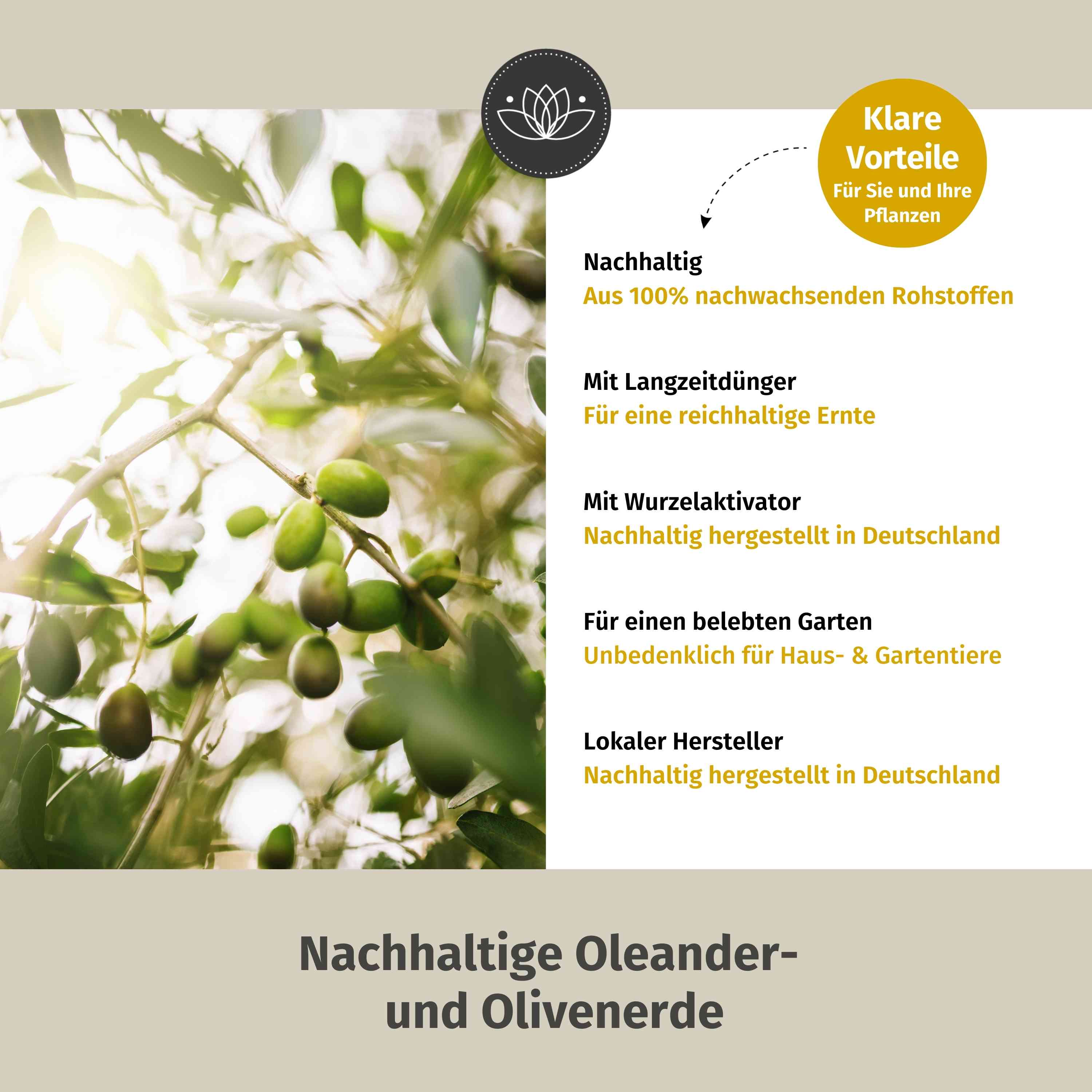 Oleander Erde