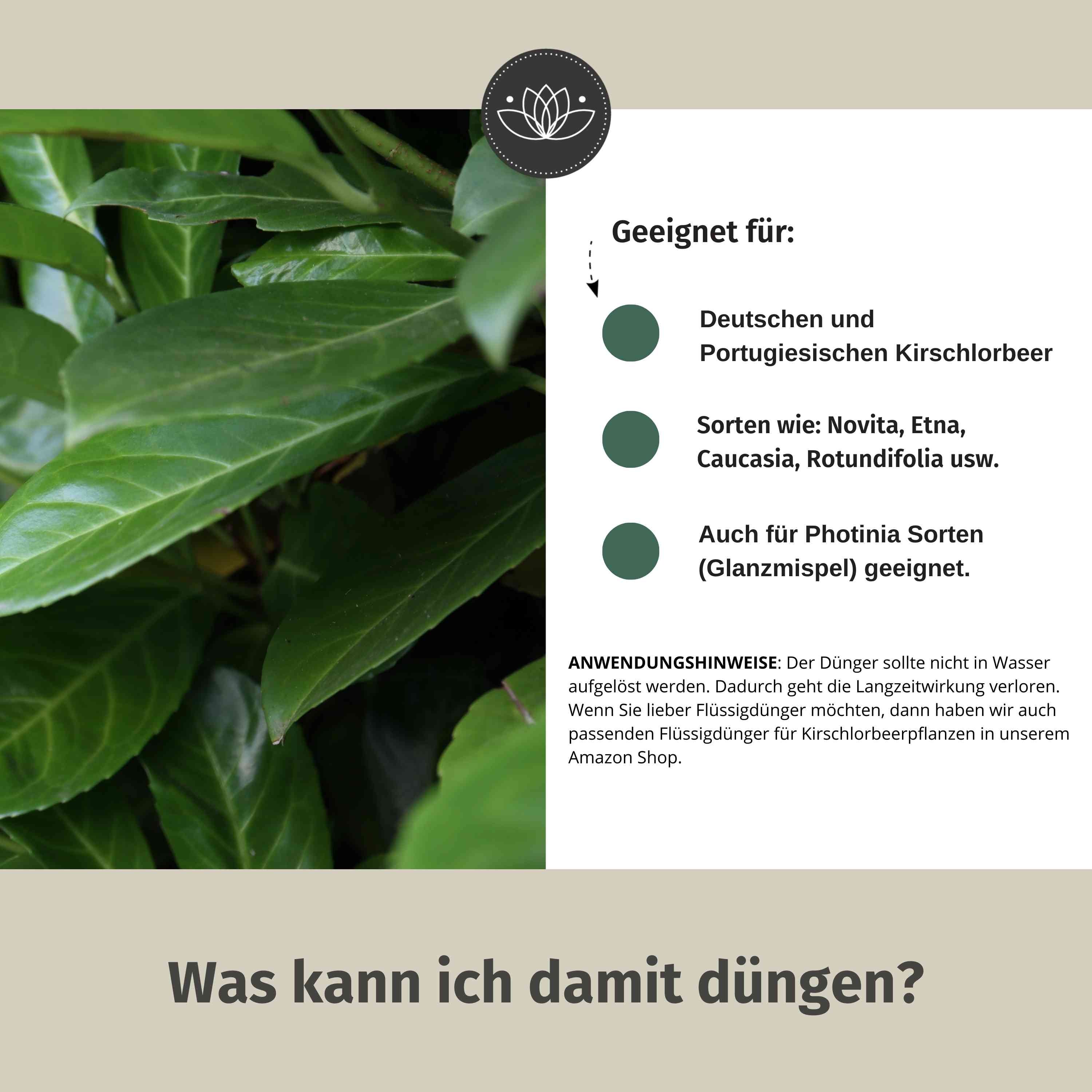 Kirschlorbeerdünger - Für alle Kirschlorbeer-Arten