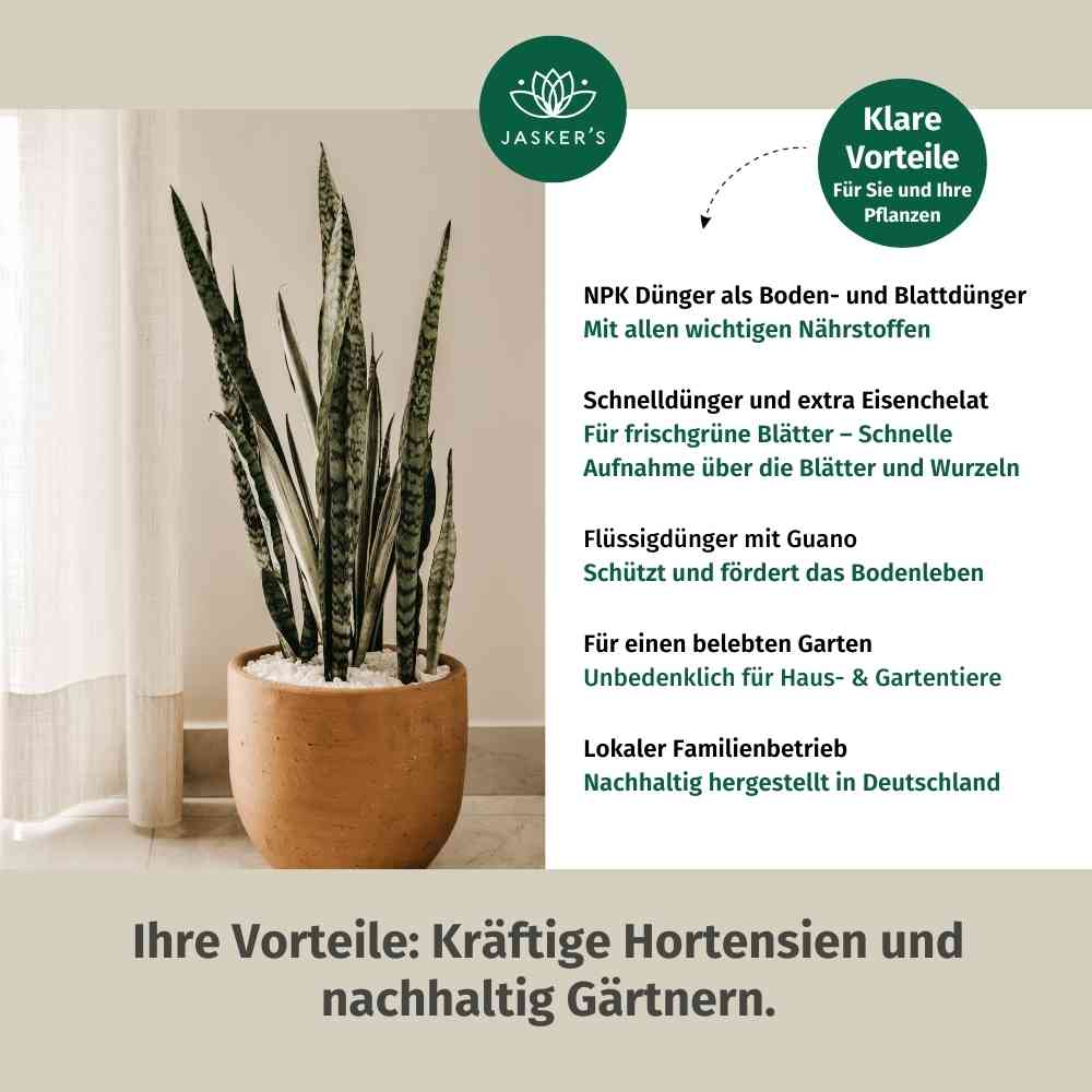 Grünpflanzen Dünger flüssig 2 Liter - Flüssigdünger für Grünpflanzen