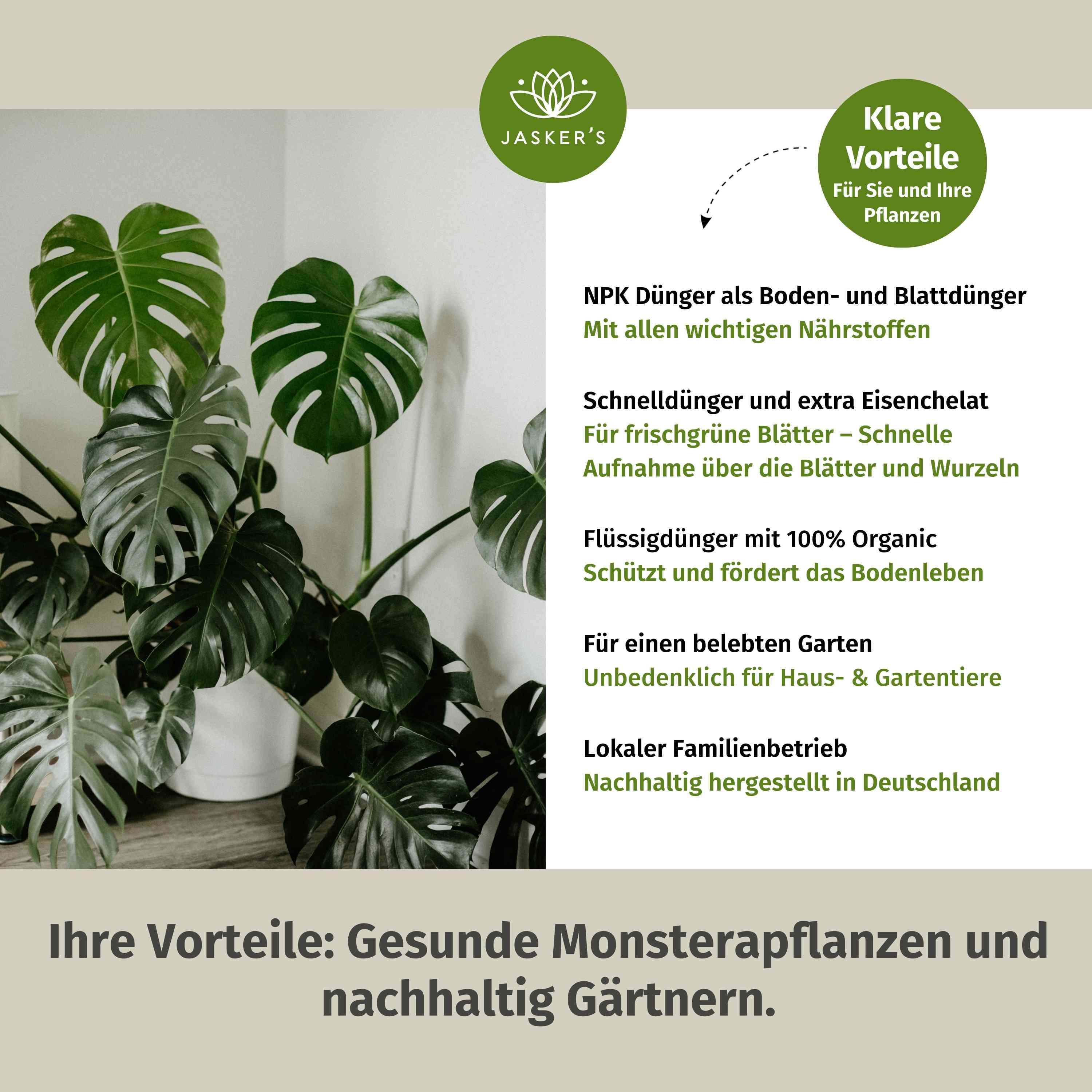 Monstera Dünger 5 Liter
