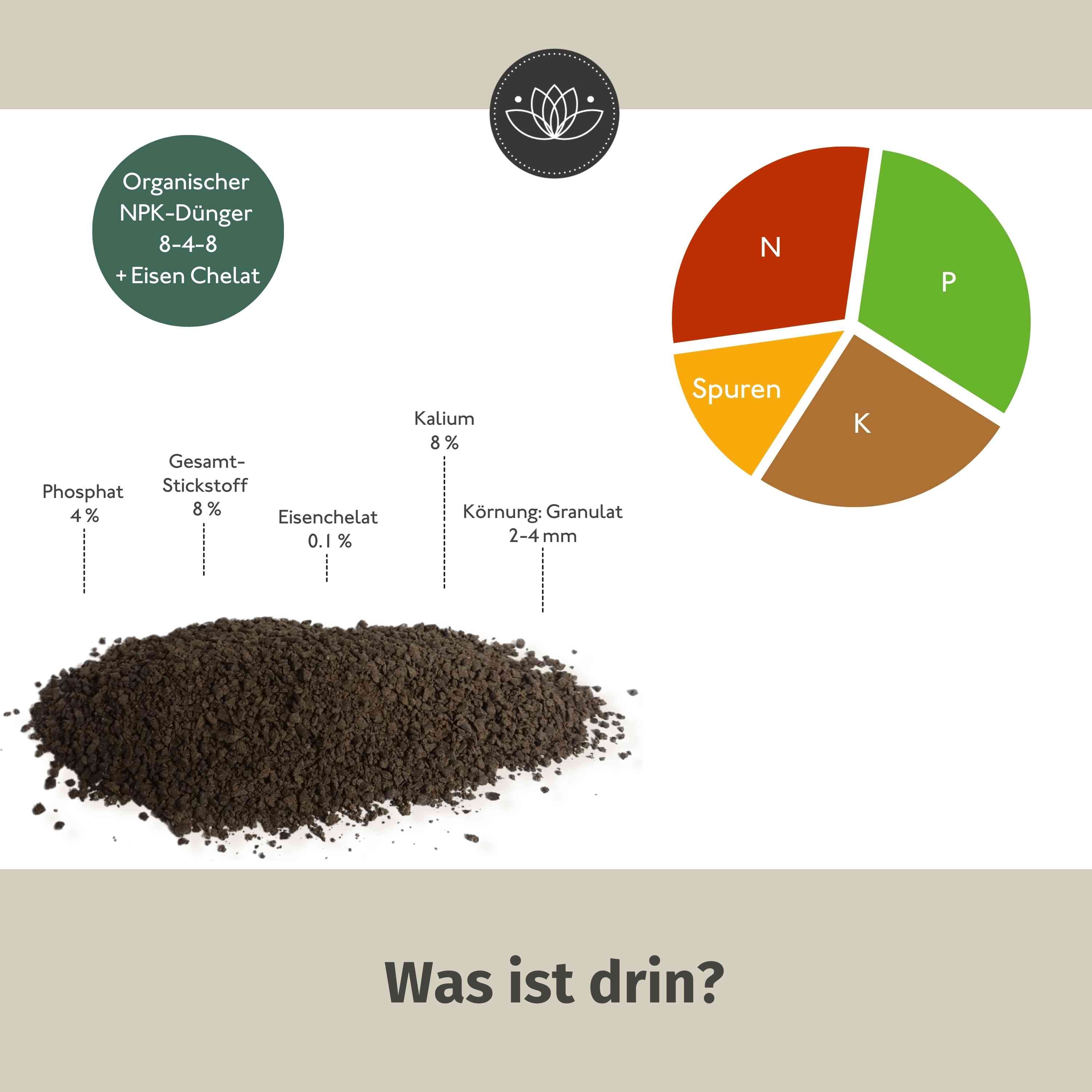 Kirschlorbeerdünger - Für alle Kirschlorbeer-Arten