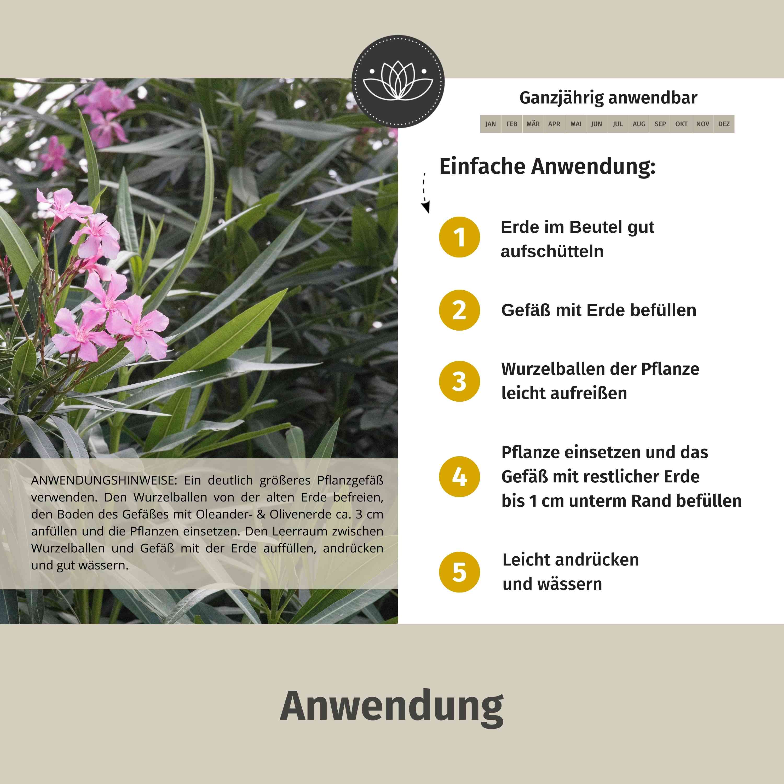 Oleander Erde