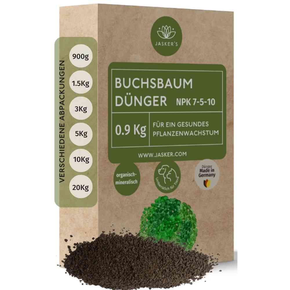 Buchsbaum Dünger