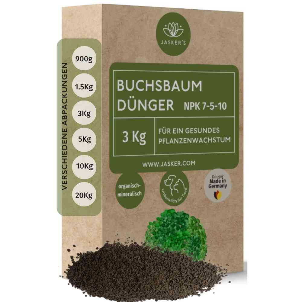 Buchsbaum Dünger