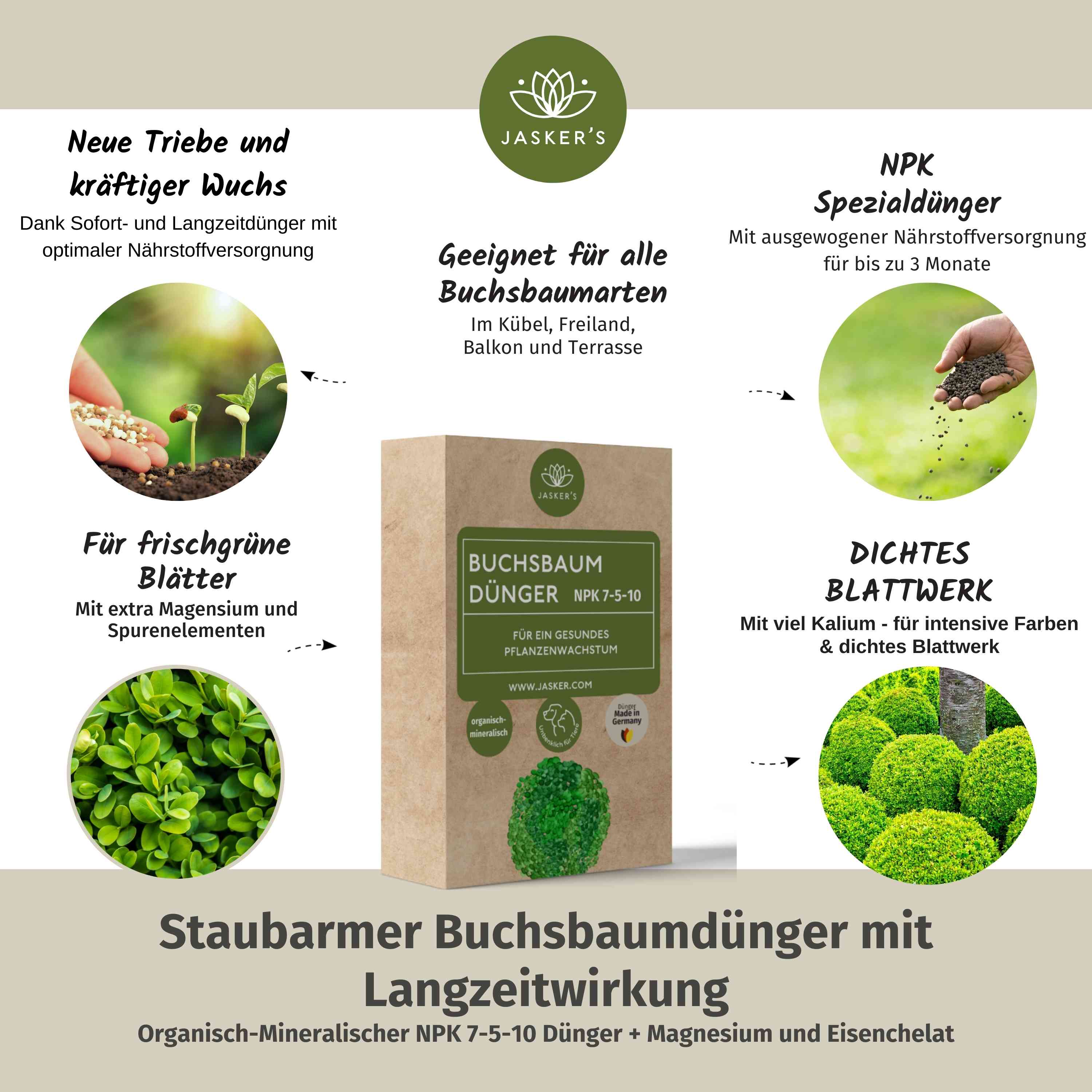 Buchsbaum Dünger