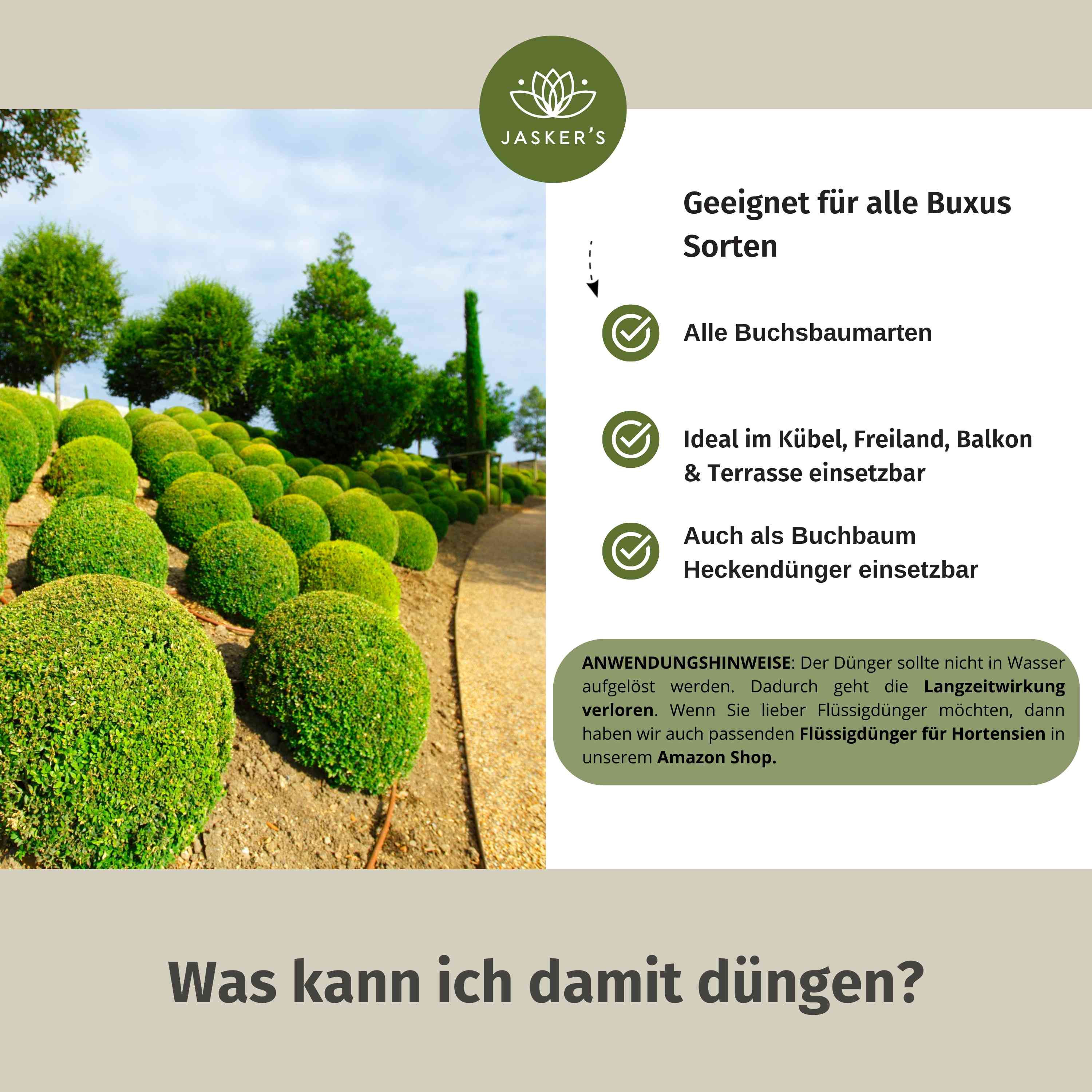Buchsbaum Dünger