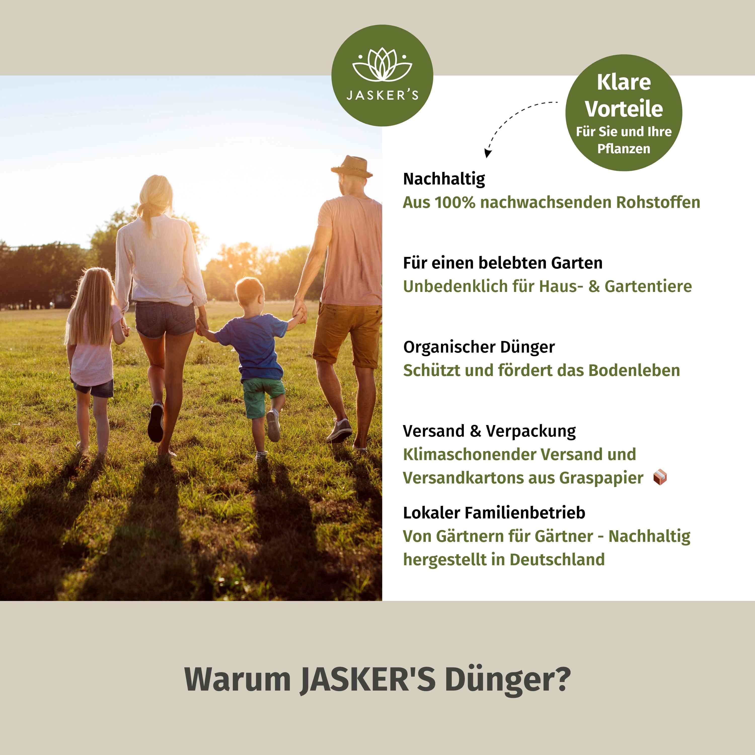 Buchsbaum Dünger