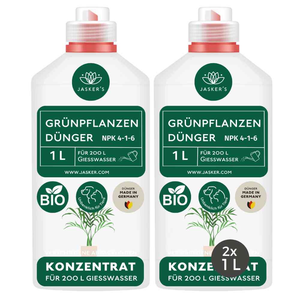 Grünpflanzen Dünger flüssig 2 Liter - Flüssigdünger für Grünpflanzen