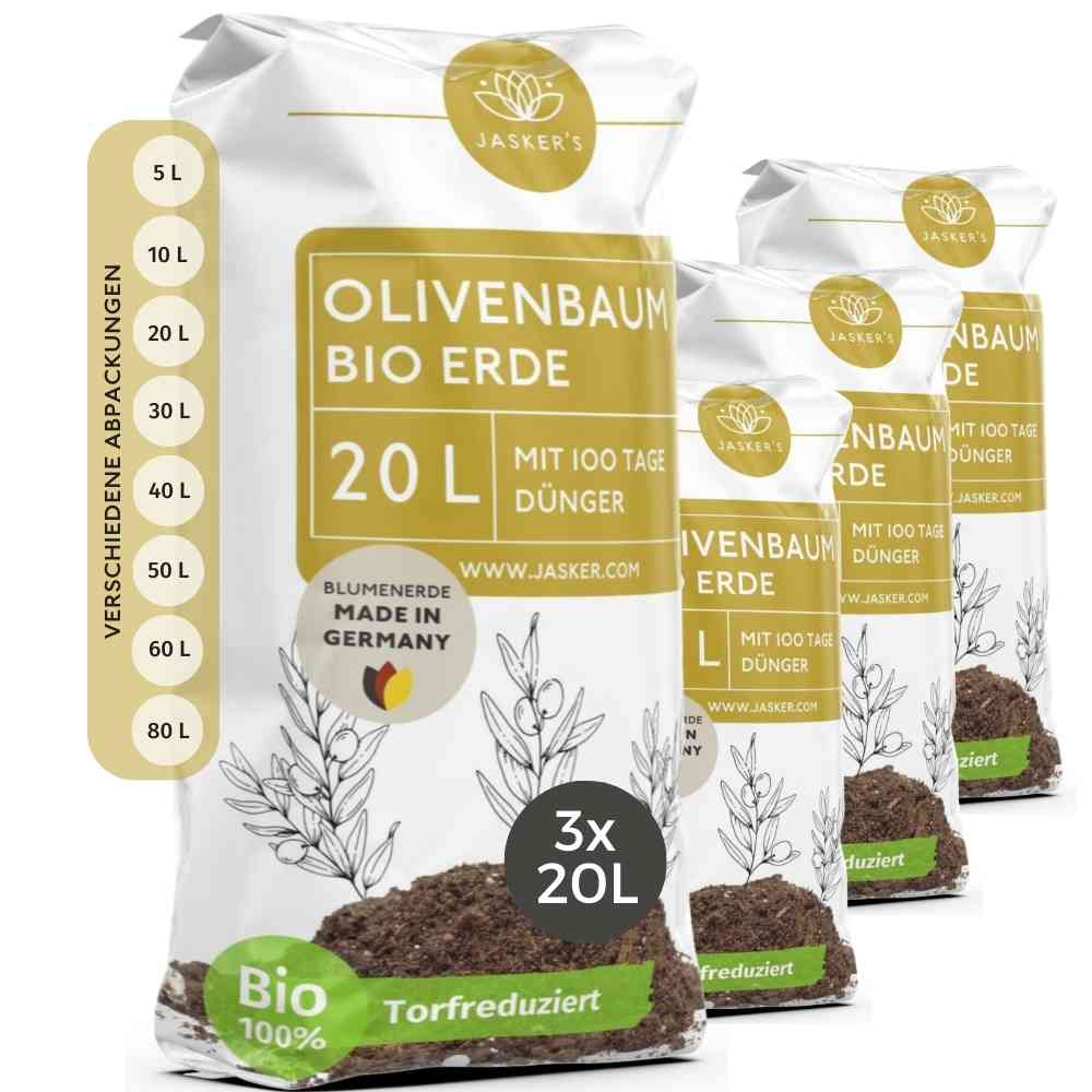 Olivenbaum Erde 80 L (4x20L)