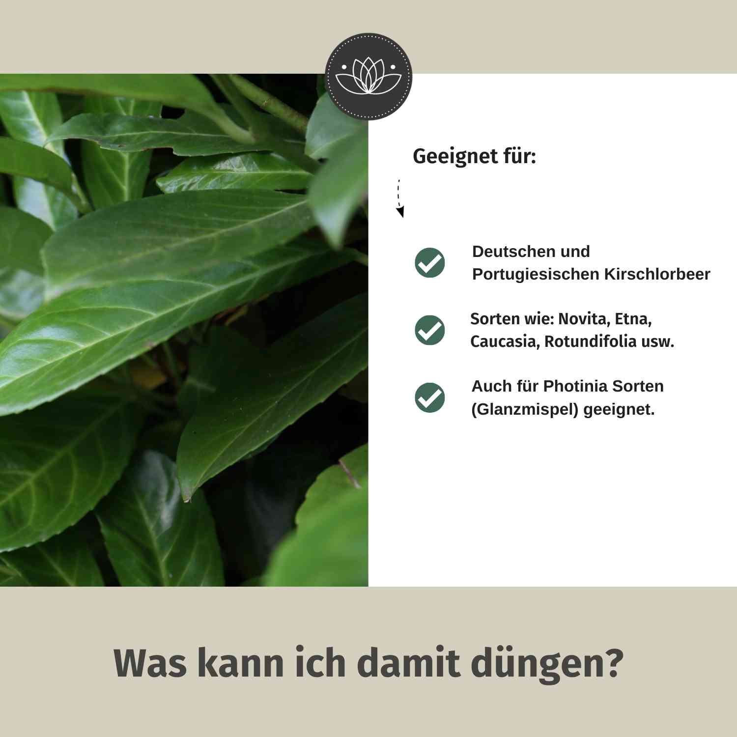 Kirschlorbeerdünger flüssig 2 Liter