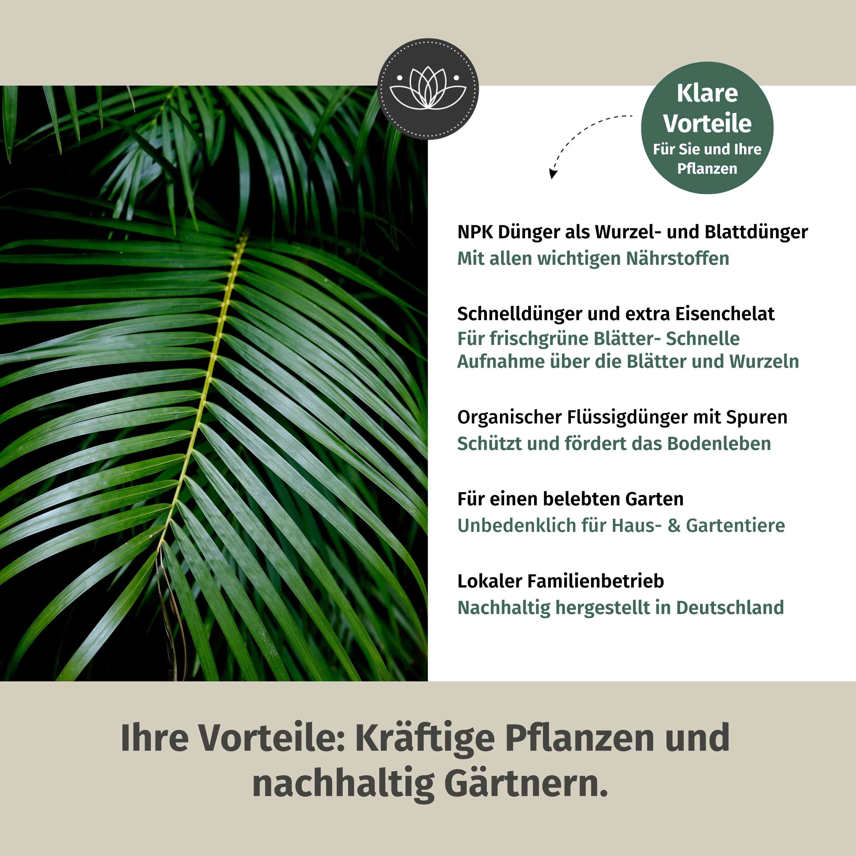 Palmen Dünger Granulat 900g - Für alle Palmen-Arten