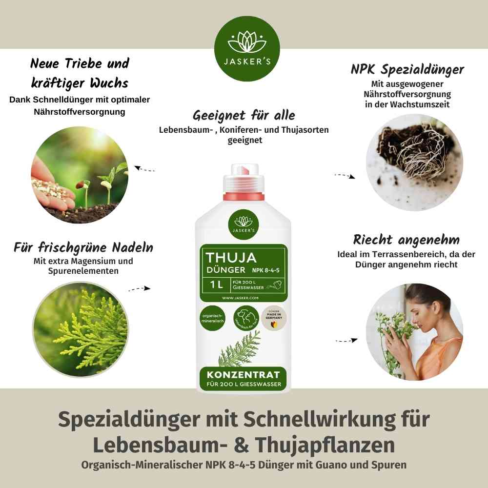 Thuja Dünger - Flüssigdünger