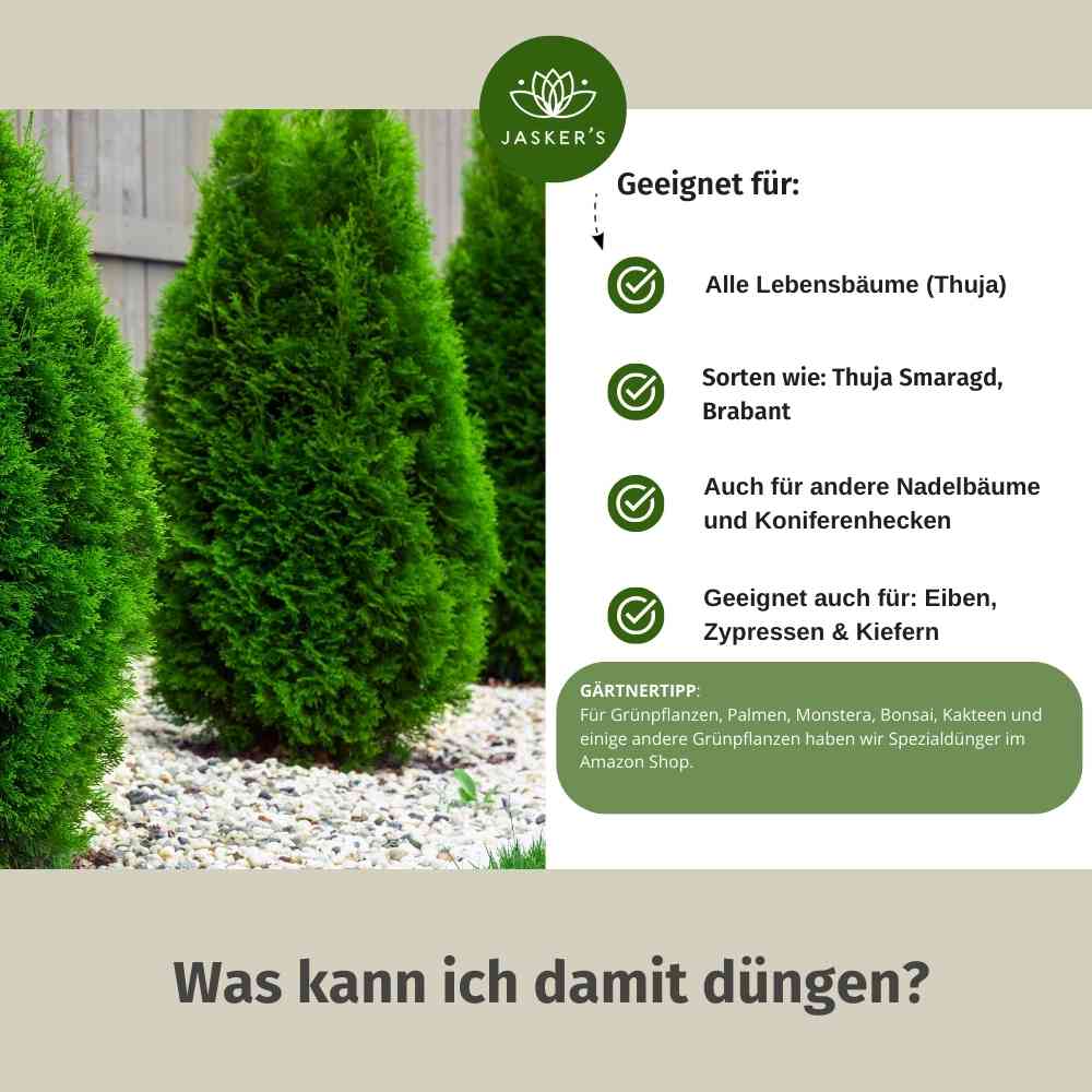 Thuja Dünger - Flüssigdünger