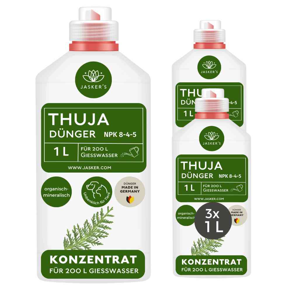 Thuja Dünger - Flüssigdünger