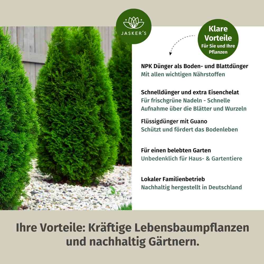 Thuja Dünger - Flüssigdünger