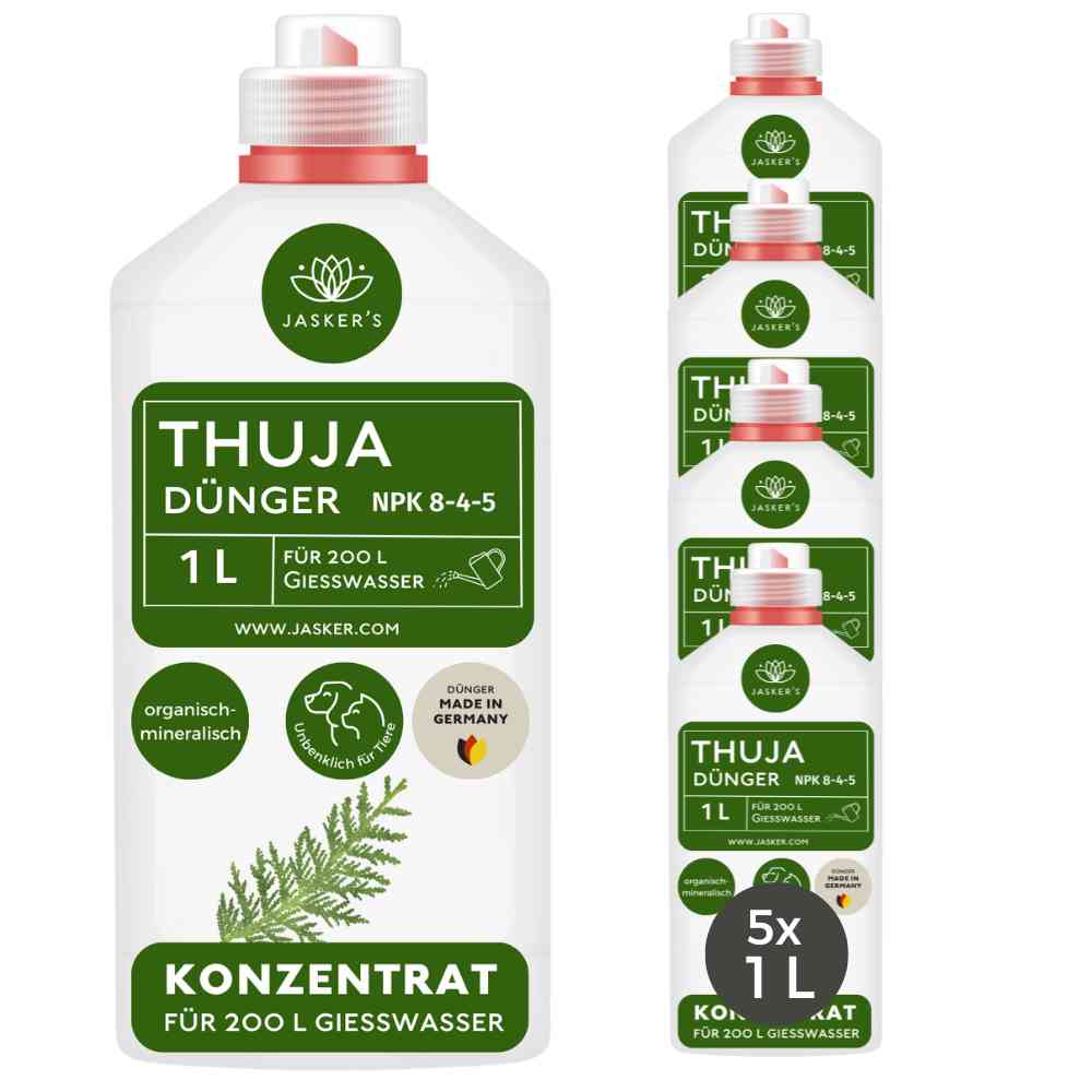 Thuja Dünger - Flüssigdünger