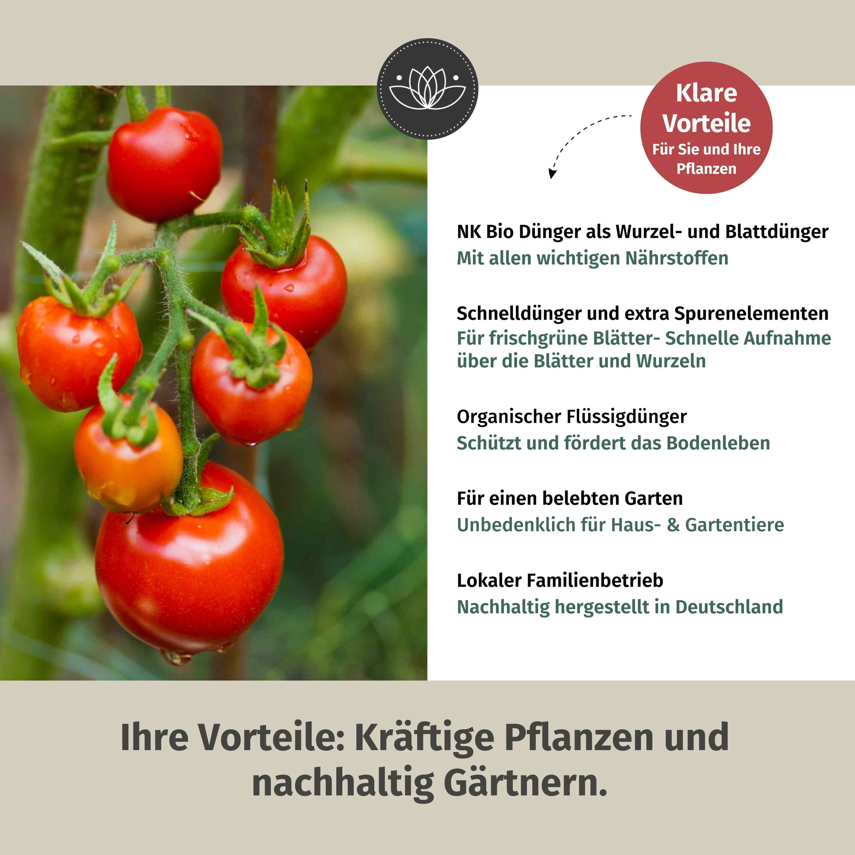 Tomatendünger Bio - Flüssigdünger für Tomaten